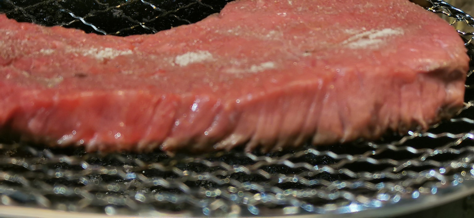A slice of meat placed on a grill mesh