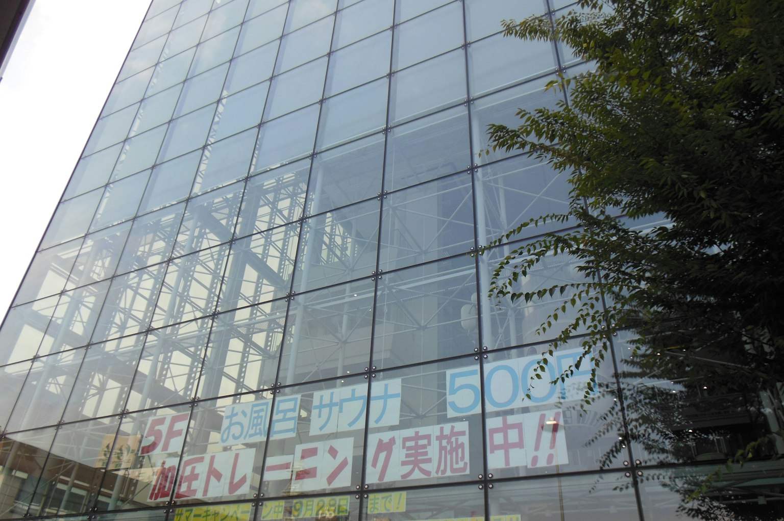 玻璃建筑外立面可见的五彩斑斓的广告