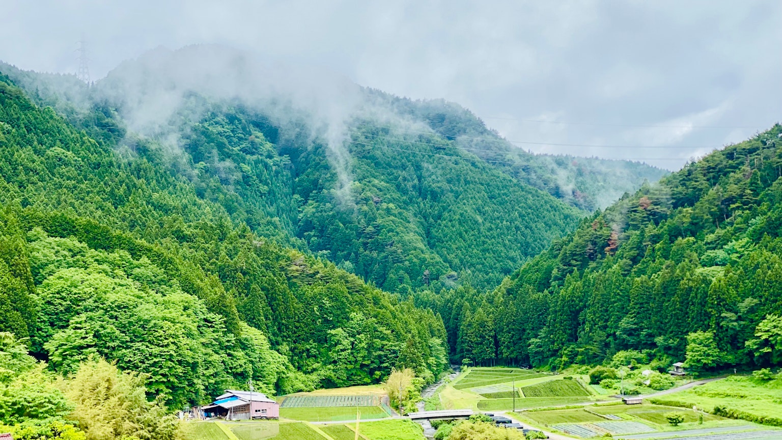 Paesaggio rurale pittoresco circondato da montagne verdi con cielo nebbioso e campi di riso