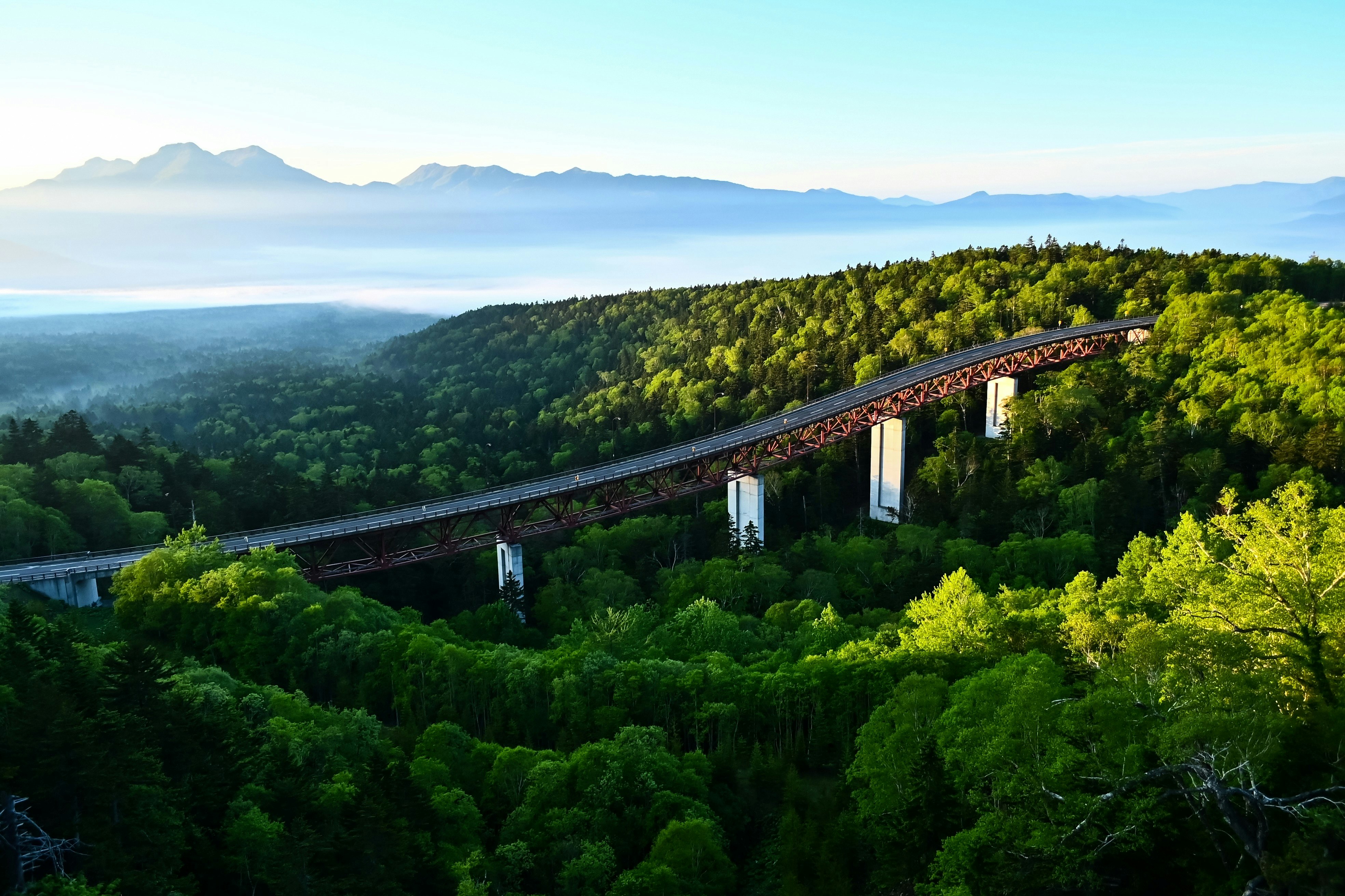 Brücke im Wald mit Blick auf die Berge