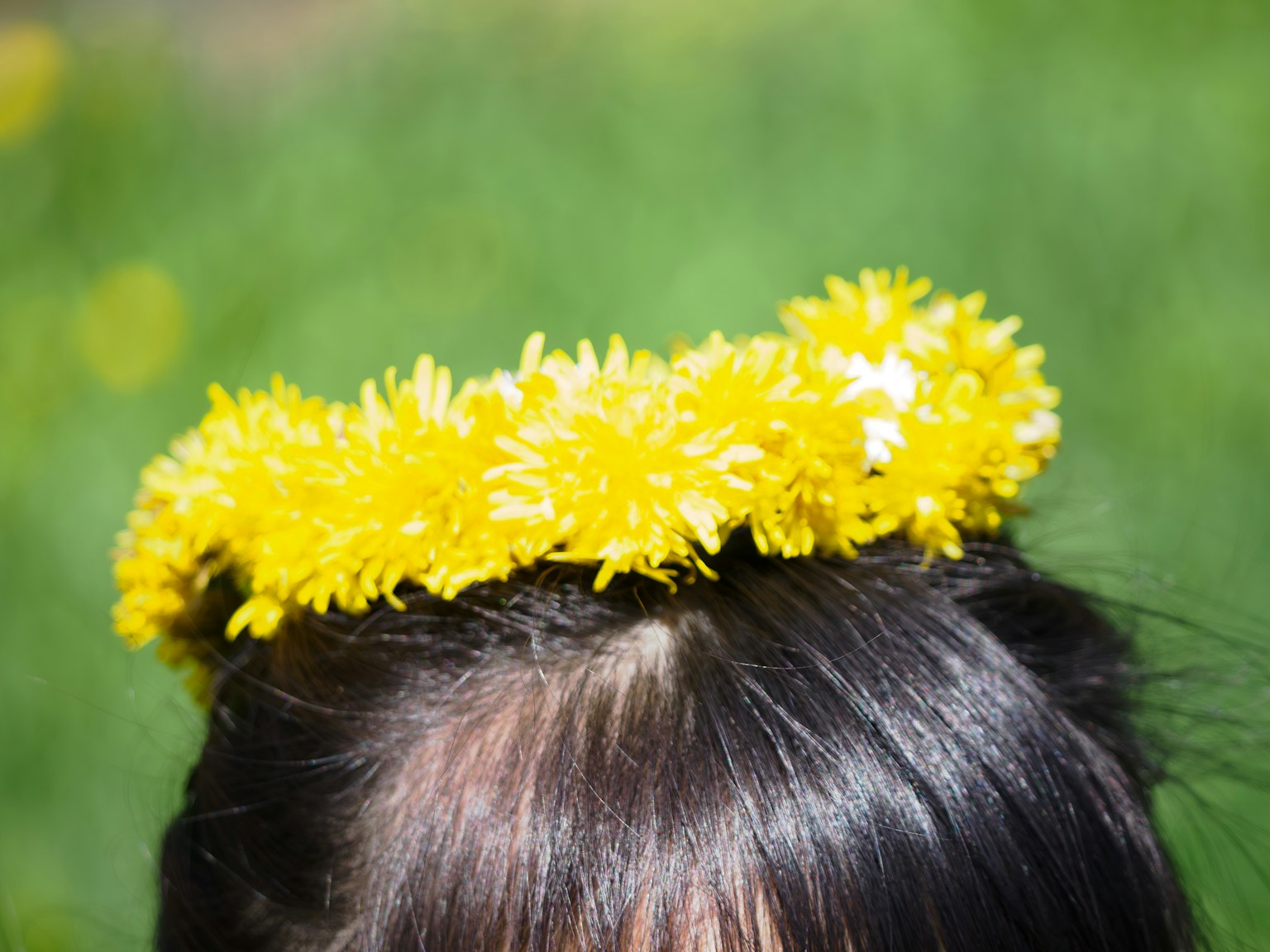 頭に黄色いタンポポの花冠をつけた子供