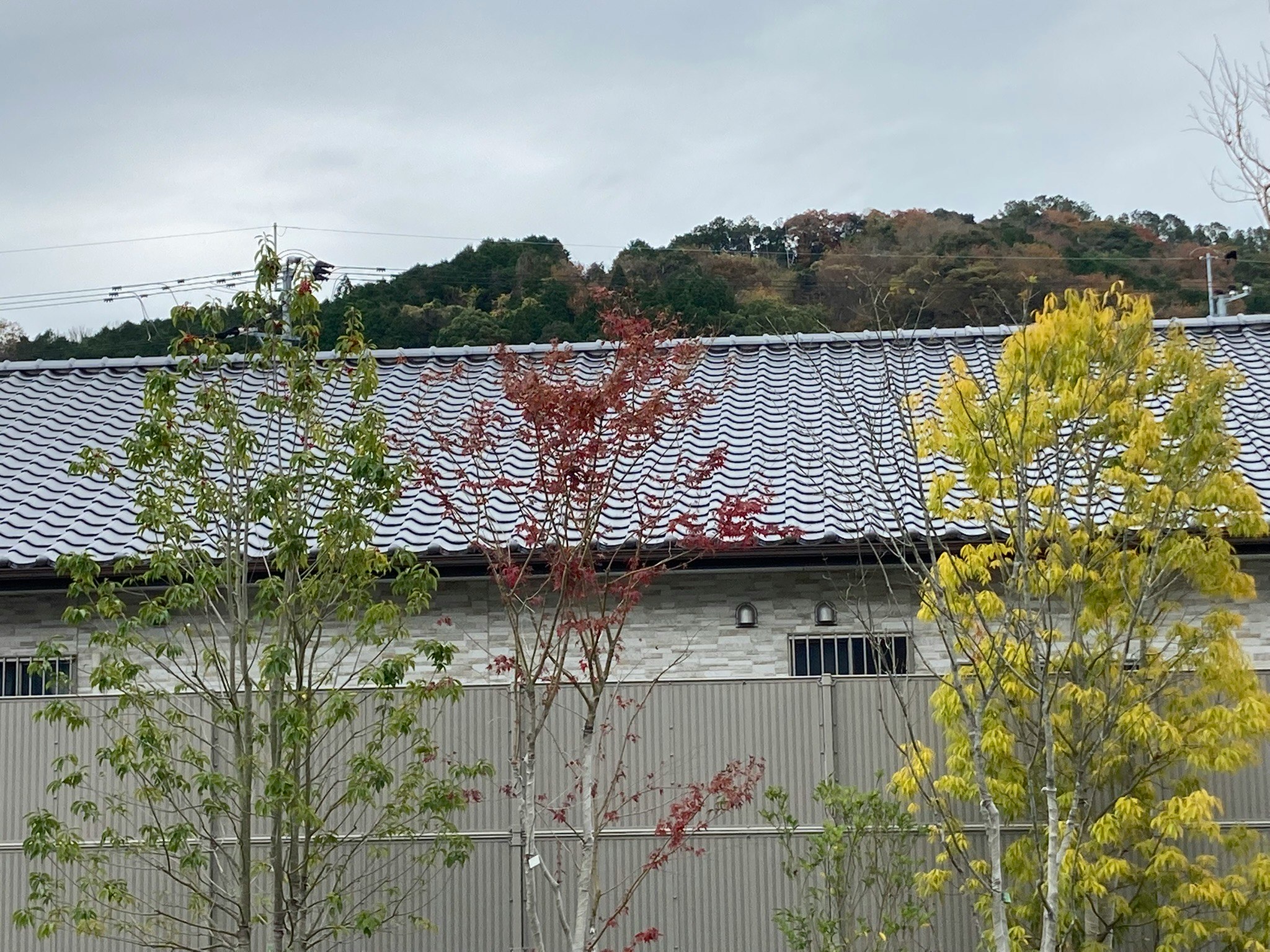 带有类似交通信号灯配色的屋顶与墙面建筑外观