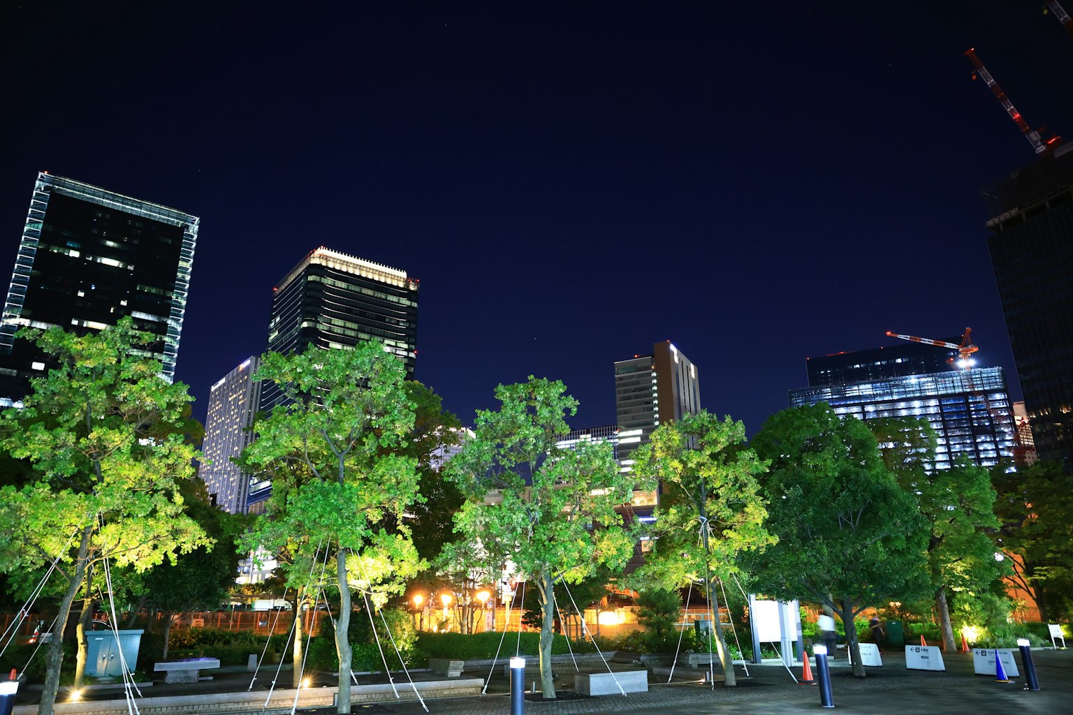 夜景城市景觀，包含高樓大廈和綠色樹木