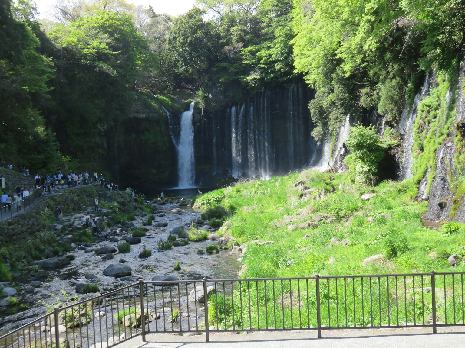 Paesaggio bello con una cascata e una vegetazione lussureggiante