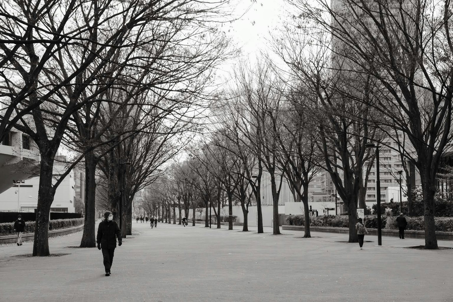 Un uomo che cammina in una scena cittadina invernale con alberi in silhouette