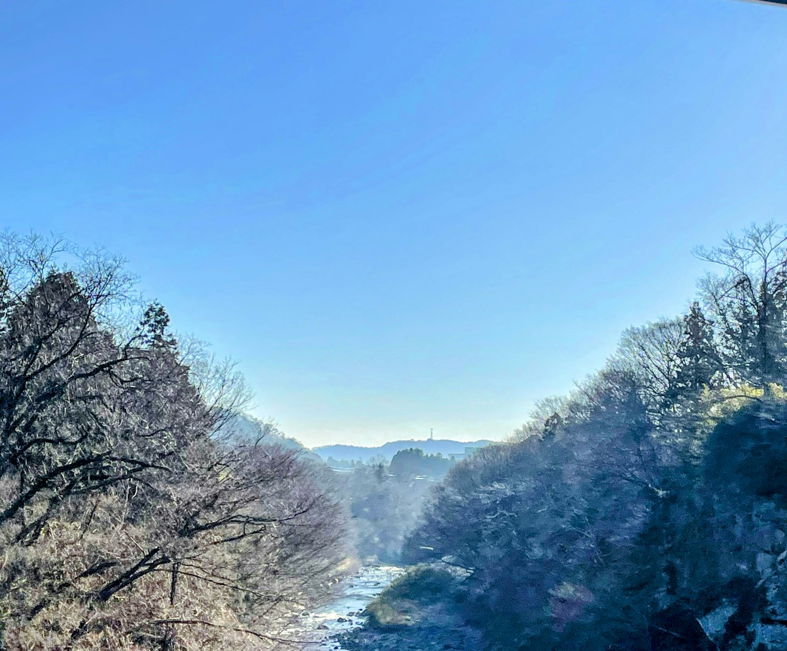 Scena di fiume serena con alberi sotto un cielo azzurro