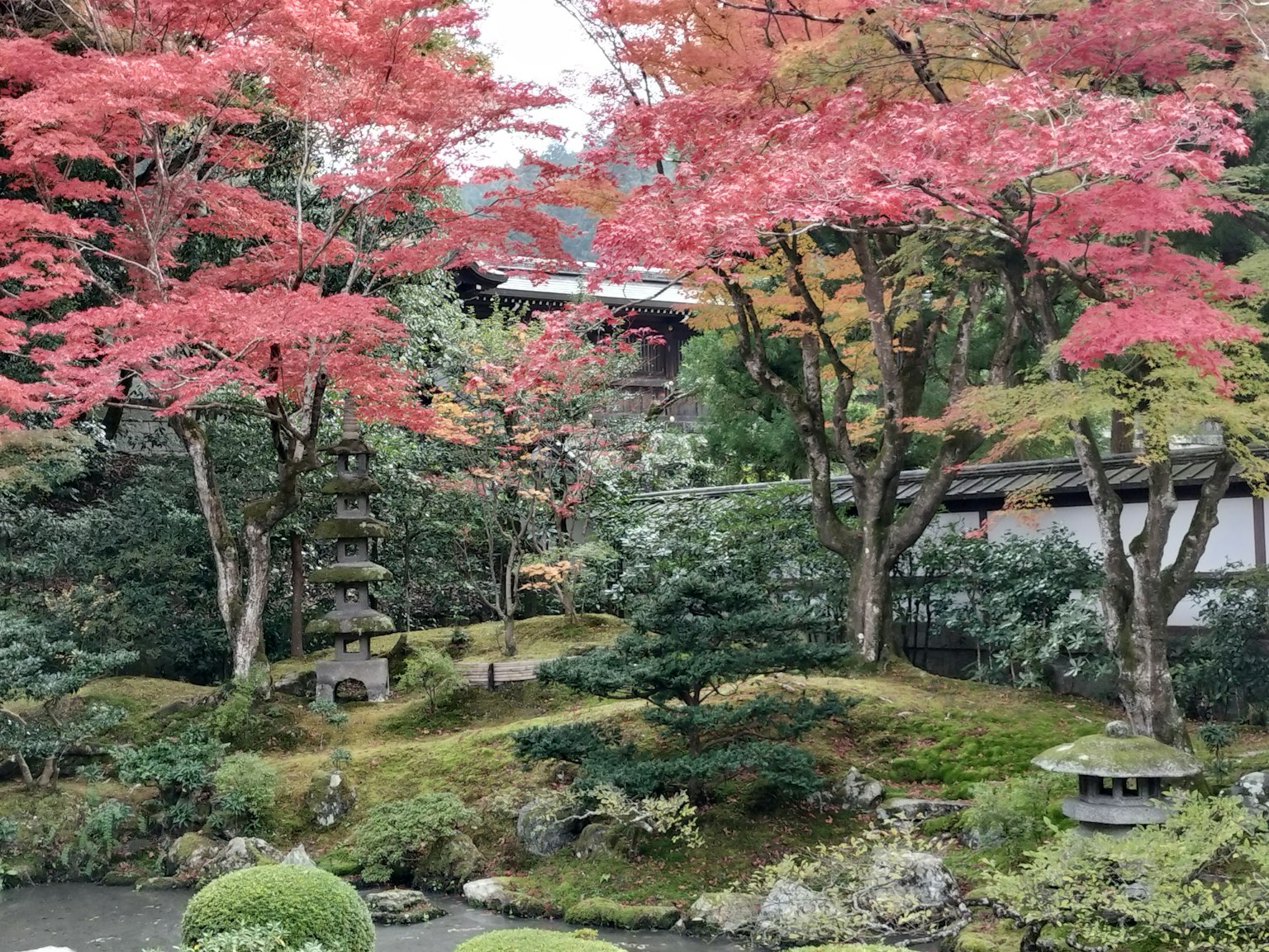 Jardín japonés pintoresco con vibrante follaje de otoño
