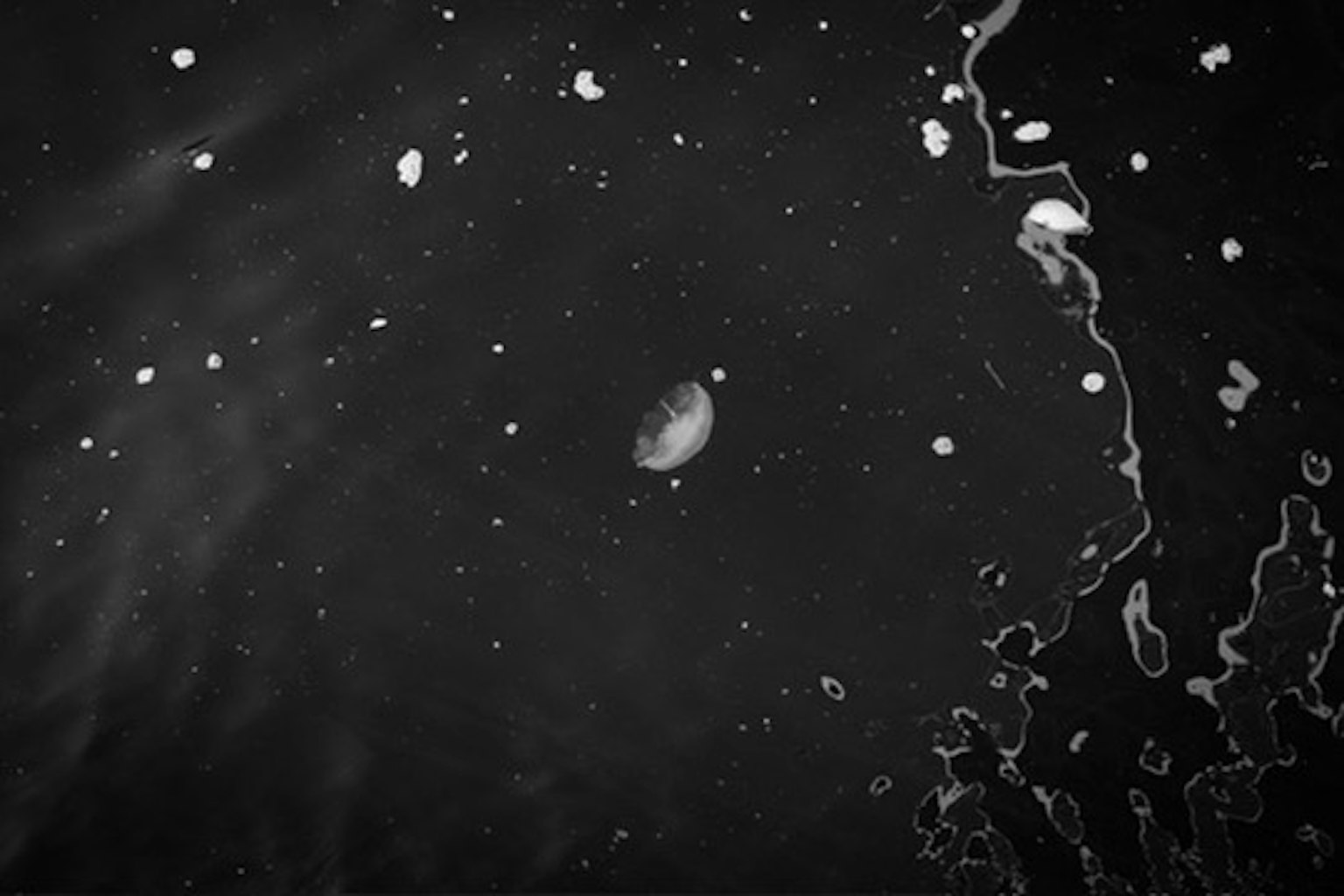 黑色水面上的水母和氣泡