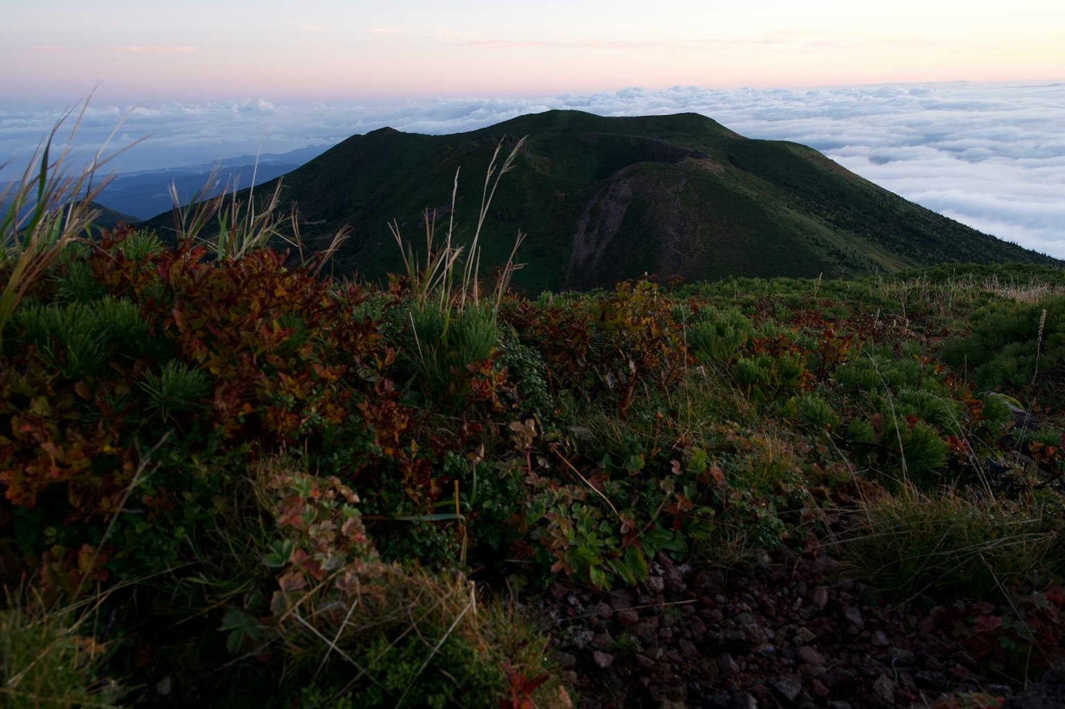 山顶的风景，草地和云海