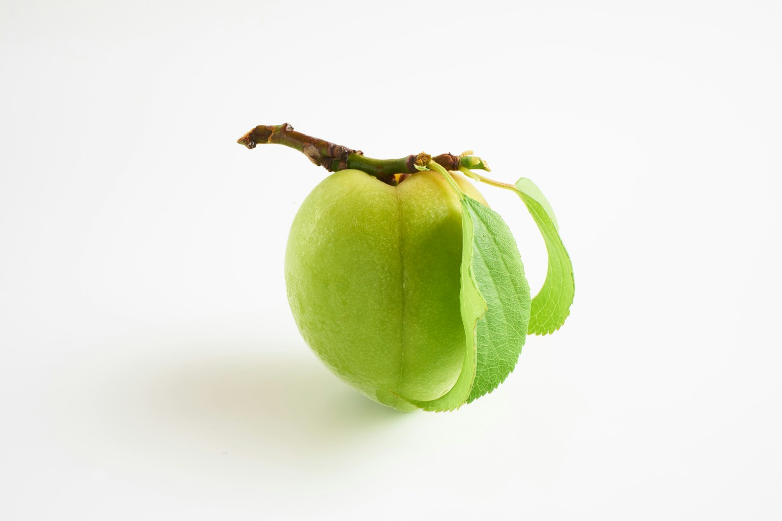 Image of a green fruit with attached leaves