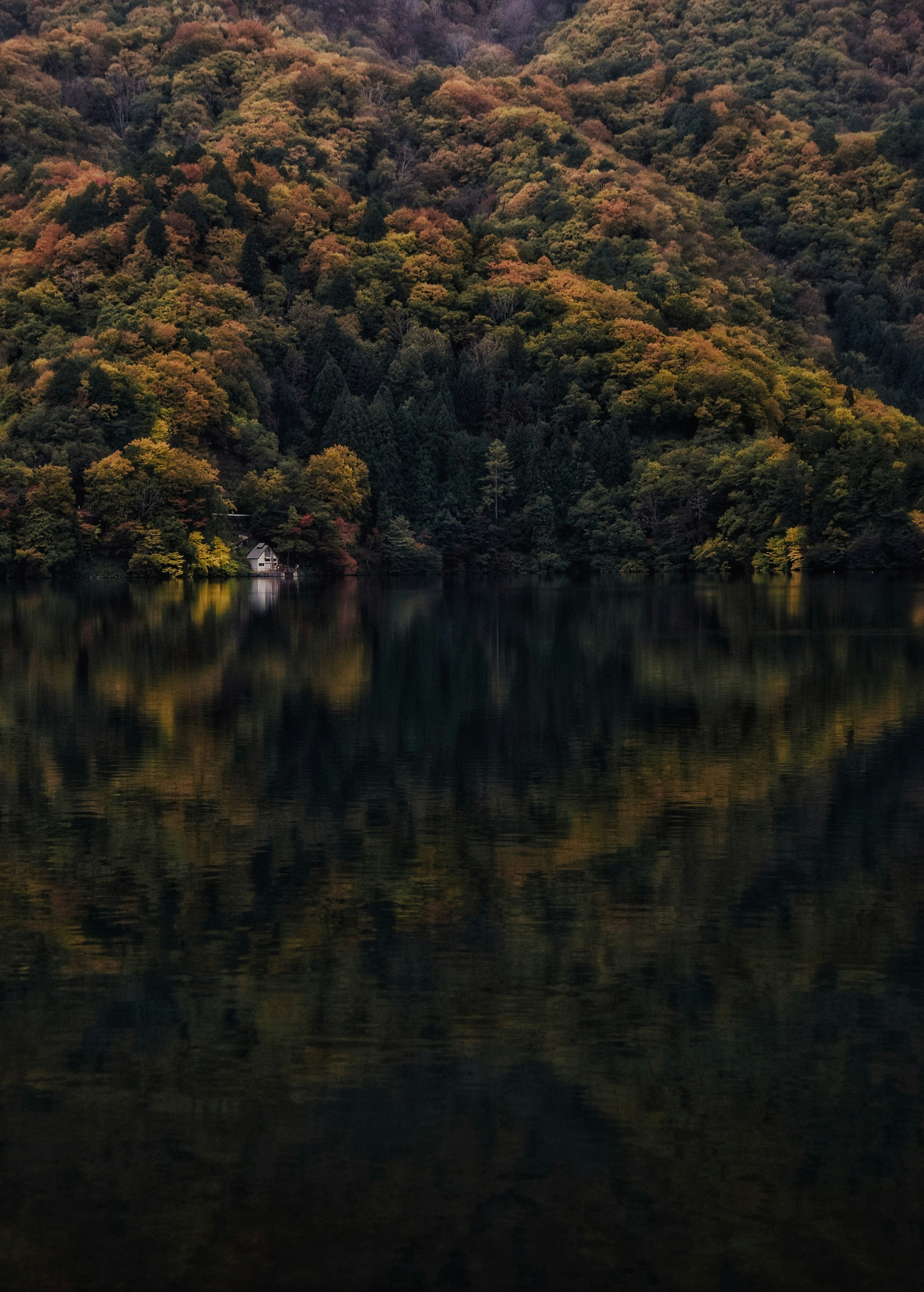 秋色の青木湖と森の水面に映る景色
