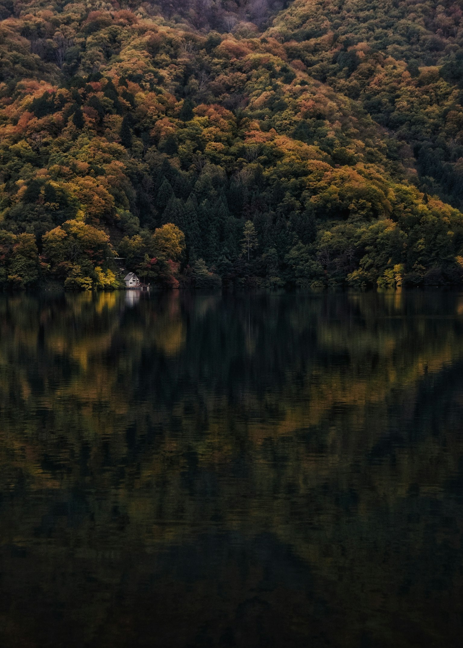 静かな湖と色づいた木々の反射が美しい風景