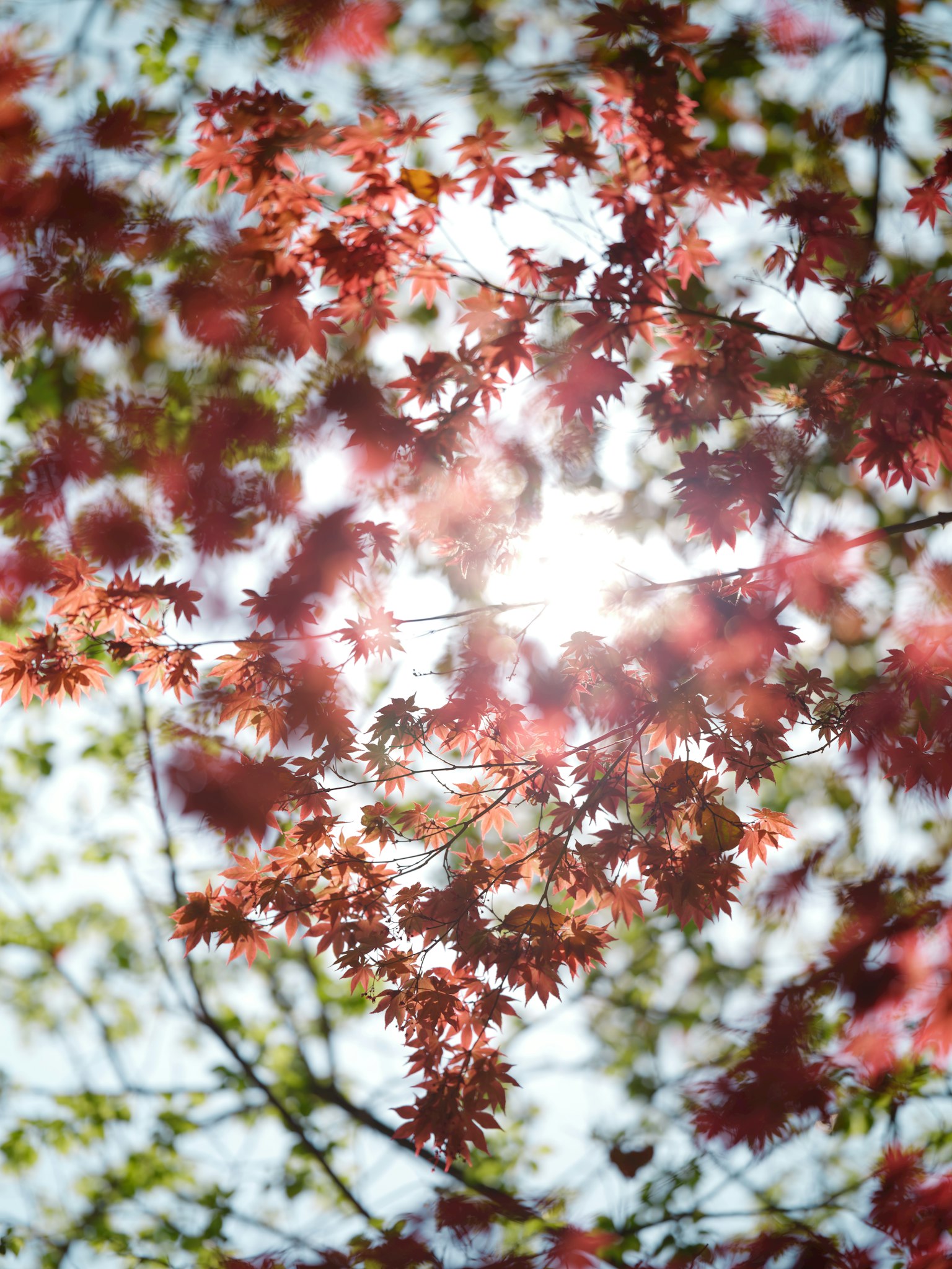 photo-LtKopQKsaBE9k74iqFYi-image