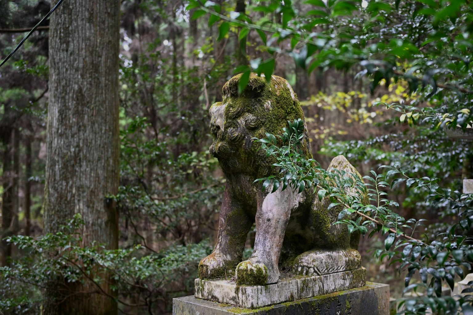 Estatua de león cubierta de musgo en un bosque rodeada de follaje verde