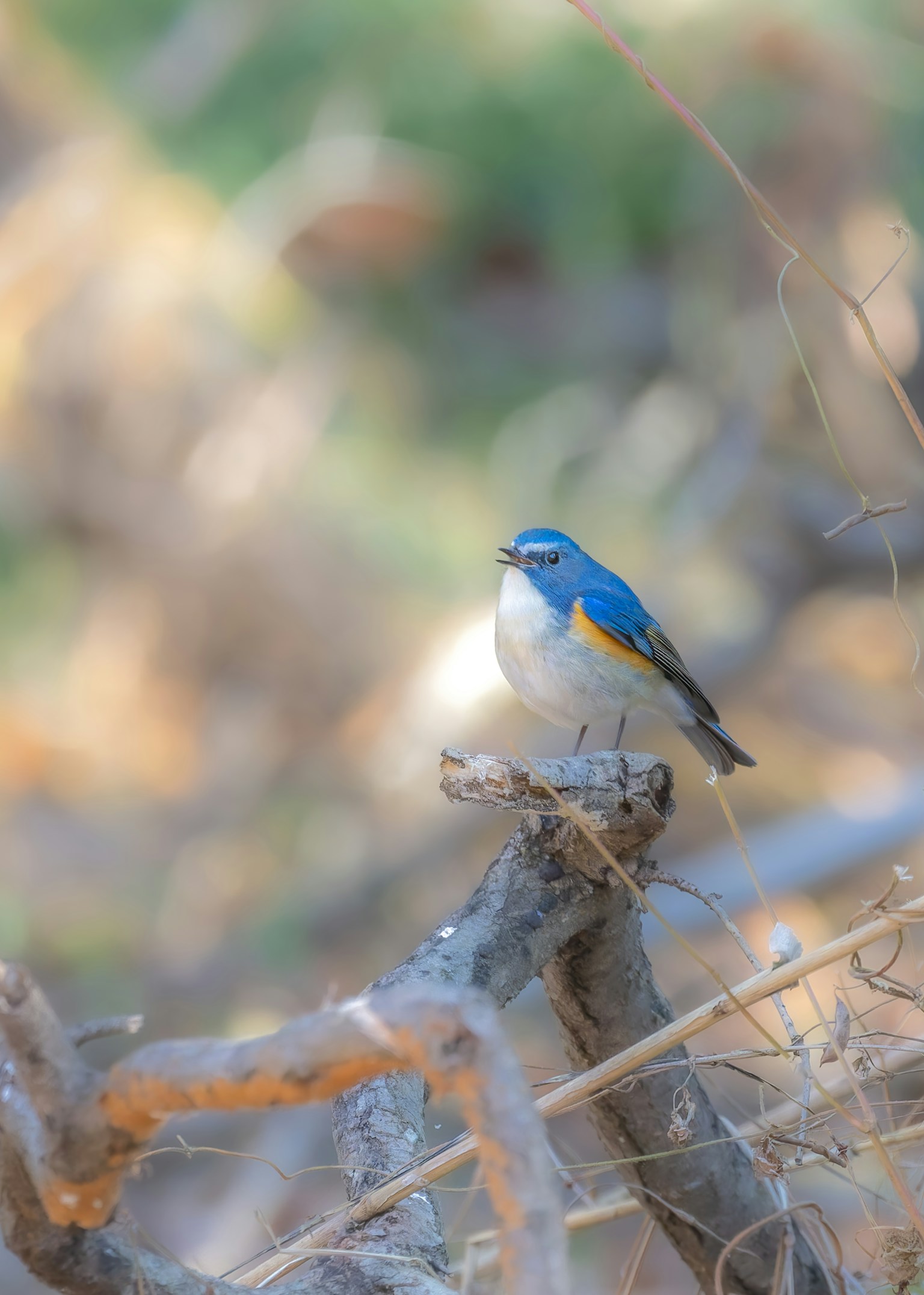 photo-LtqpnoJNZ9udaOboJXZu-image