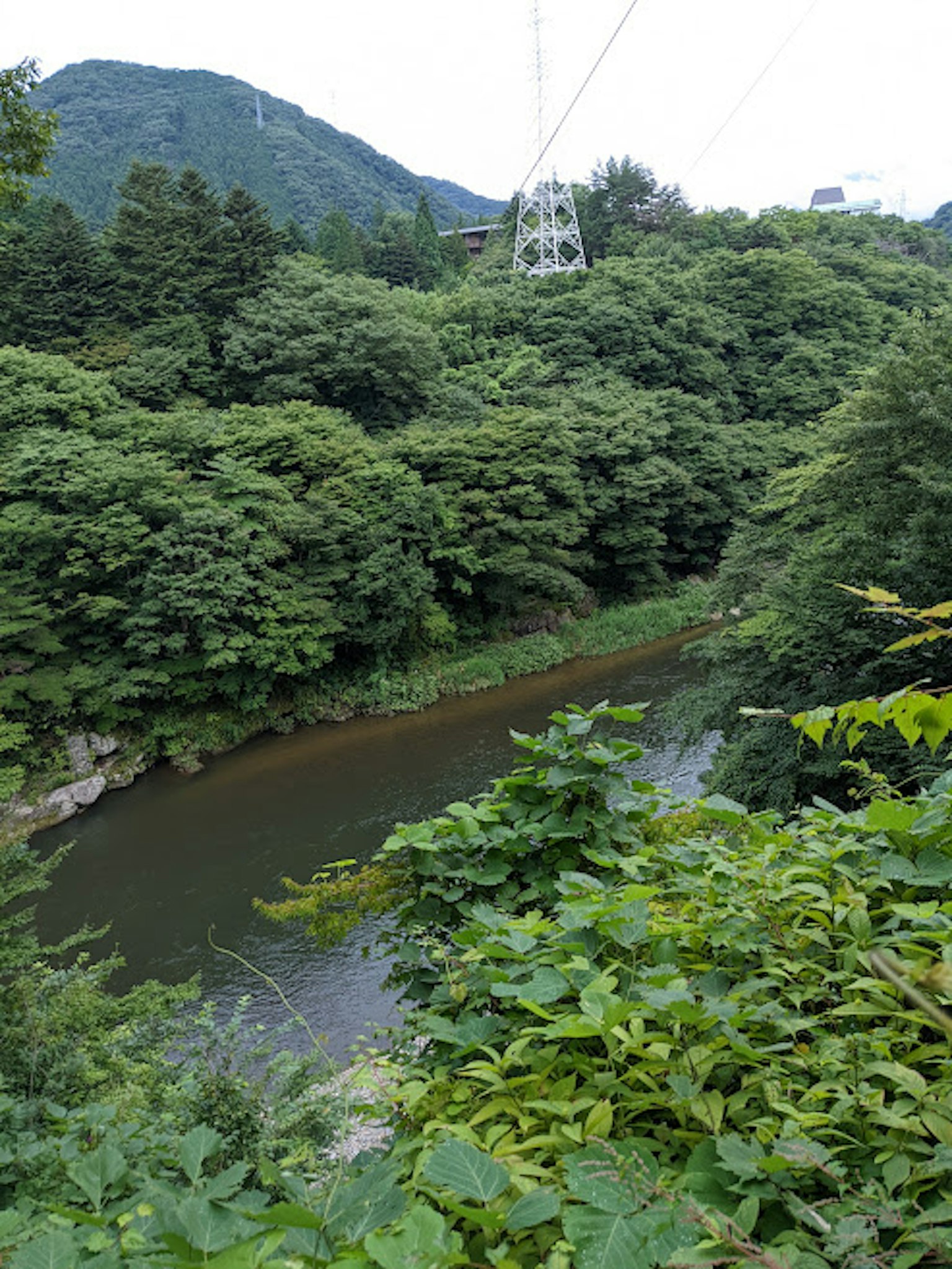 郁郁蔥蔥的森林和寧靜的河流被山脈環繞