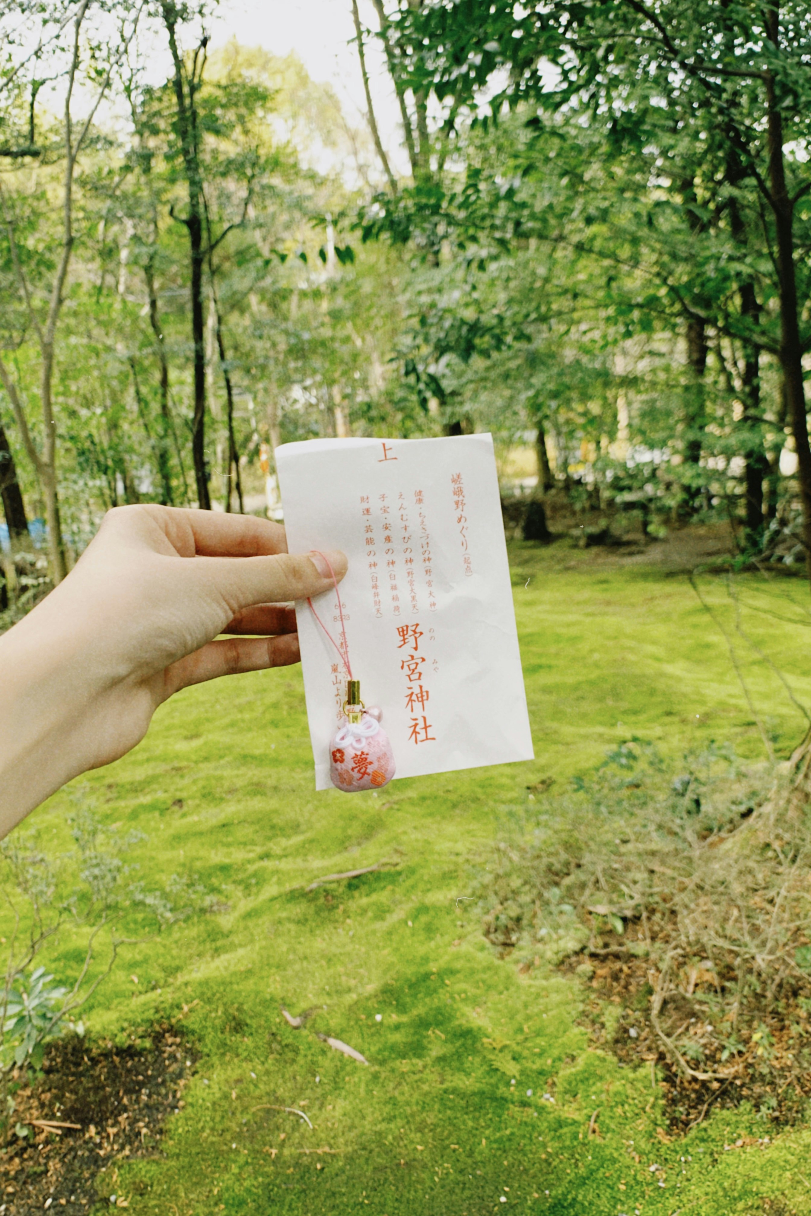 hand holding an amulet in a green forest path