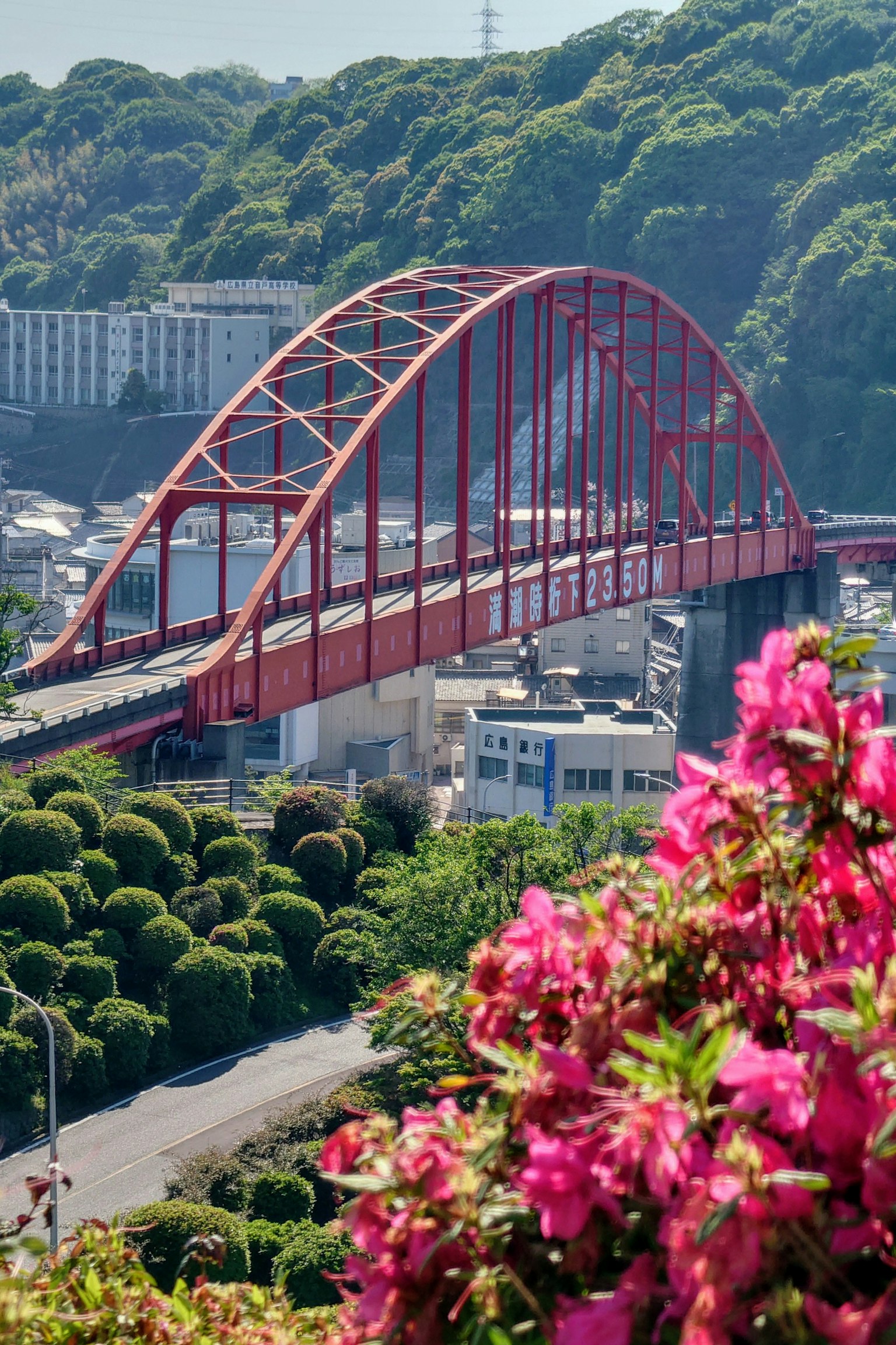 Ponte ad arco rosso circondato da una vegetazione lussureggiante