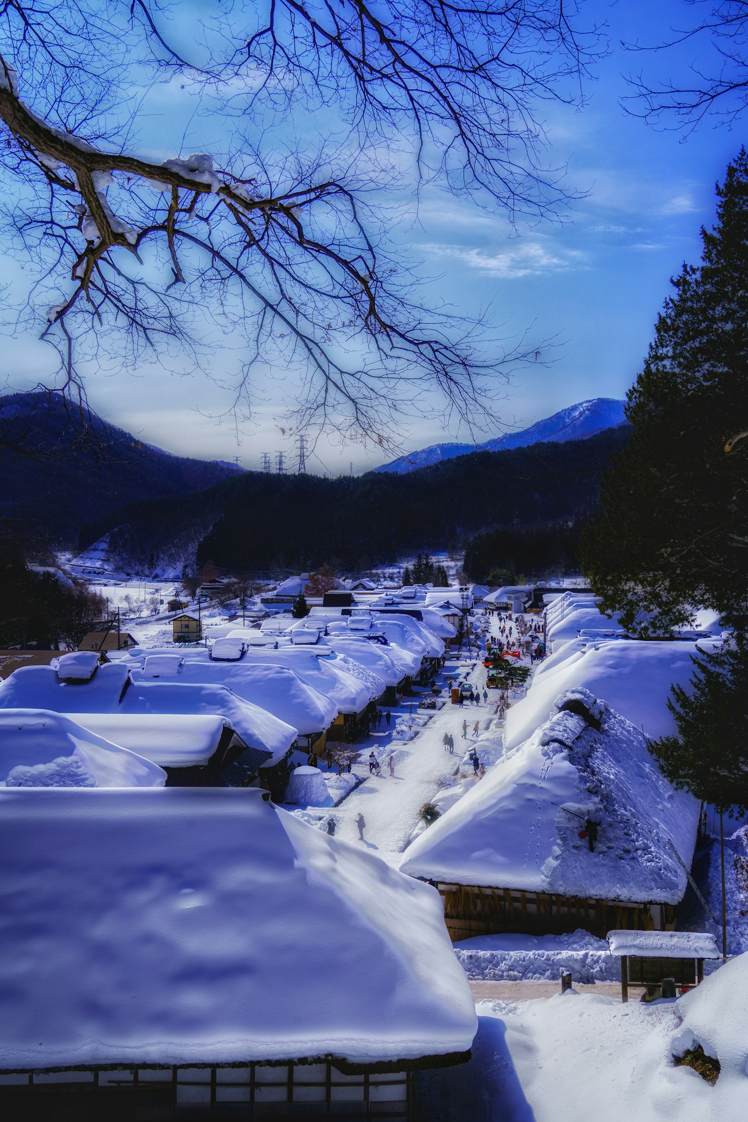 photo-LuQzBObMMvX5wHAru3a9-image