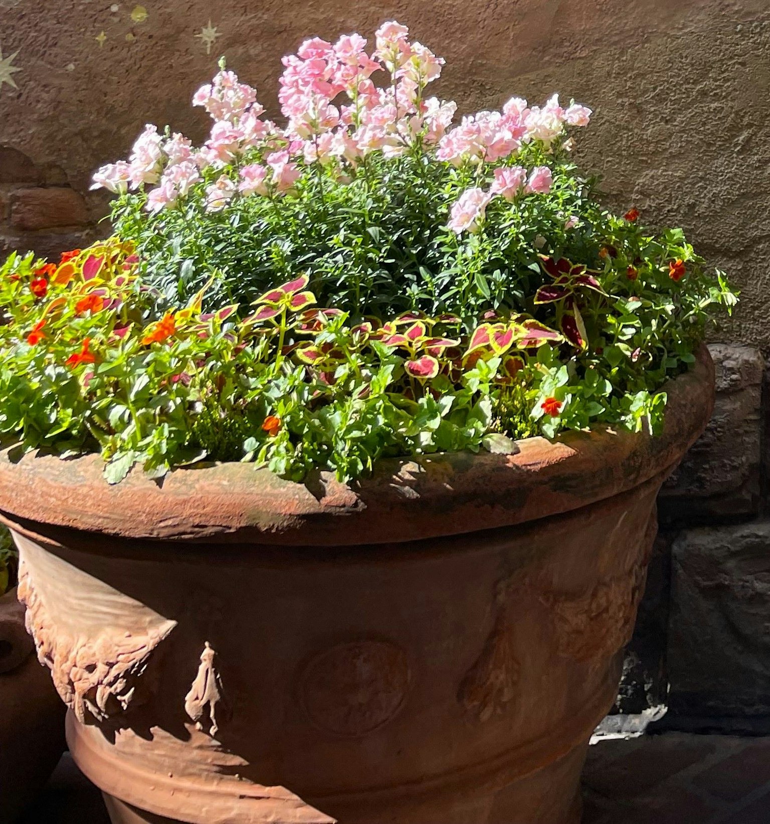 Gran maceta con flores rosadas y vegetación vibrante