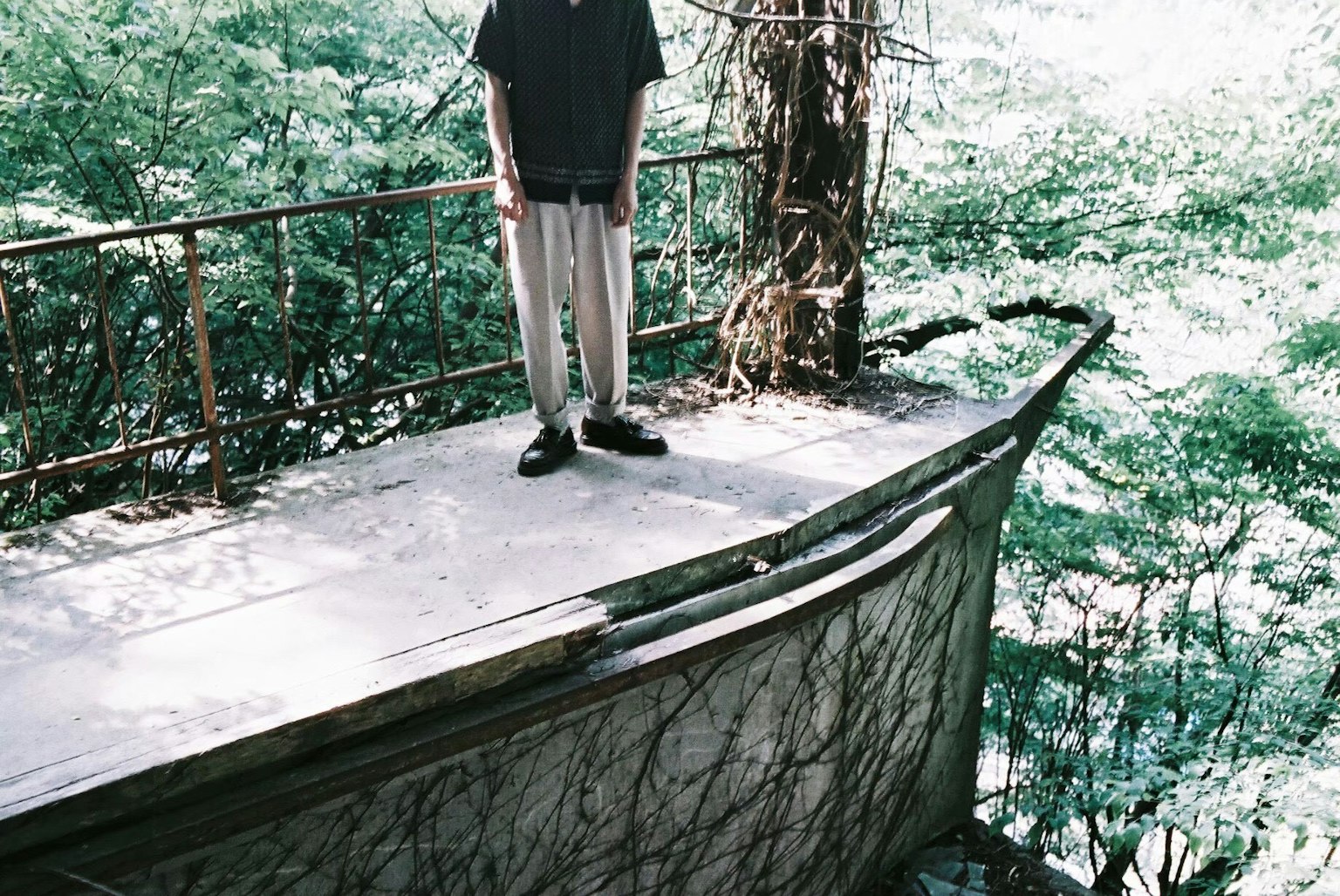 A person standing on an old boat deck surrounded by lush greenery