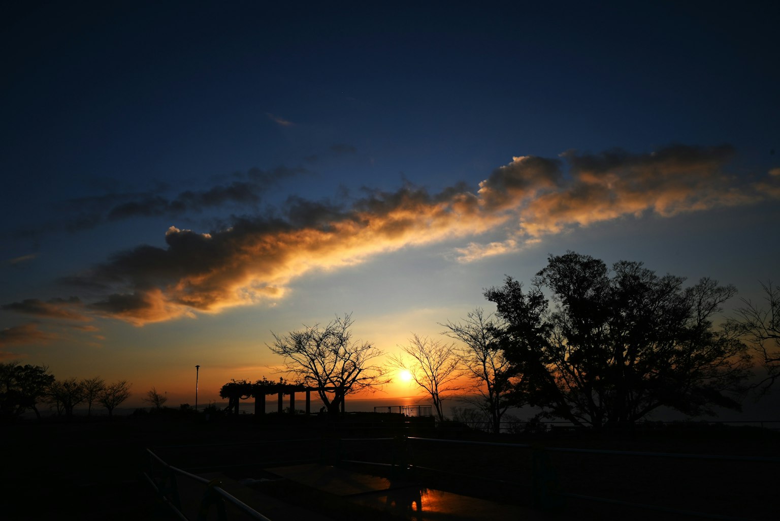 Silhouette of trees against a sunset sky with clouds