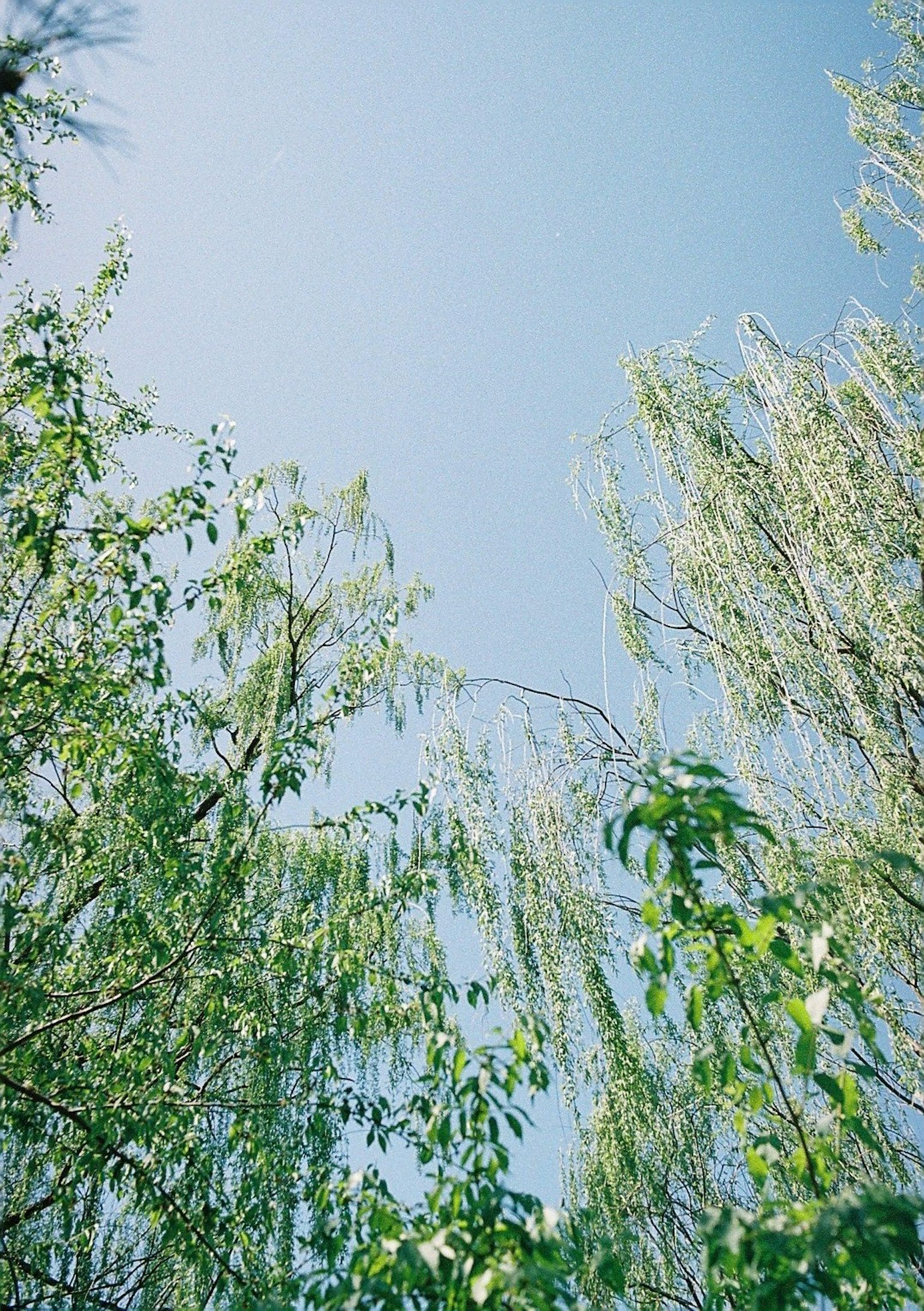 photo-Lv5mMCn9Ar4vi0D4EwxE-image