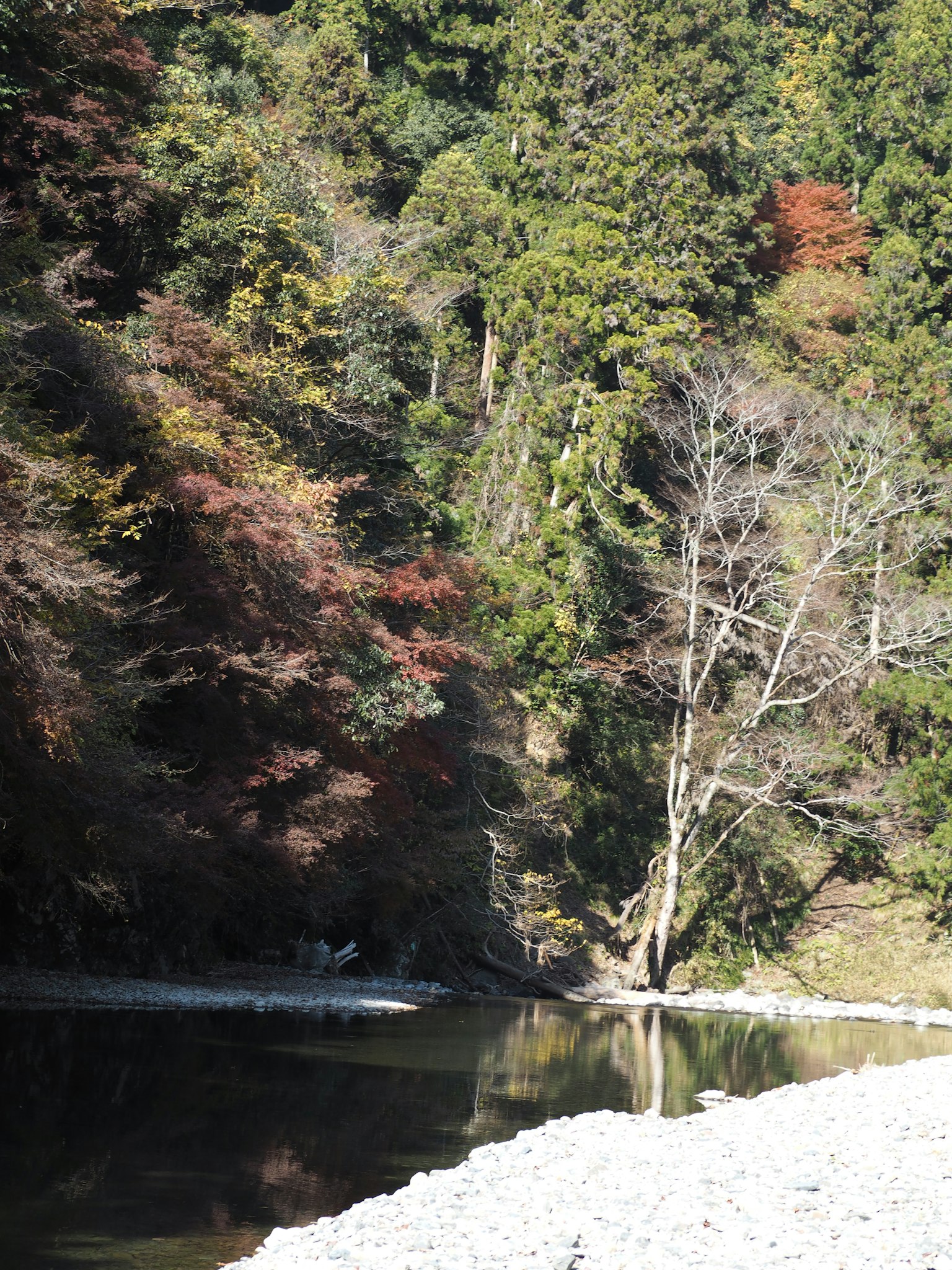 Fiume sereno circondato da fogliame autunnale colorato