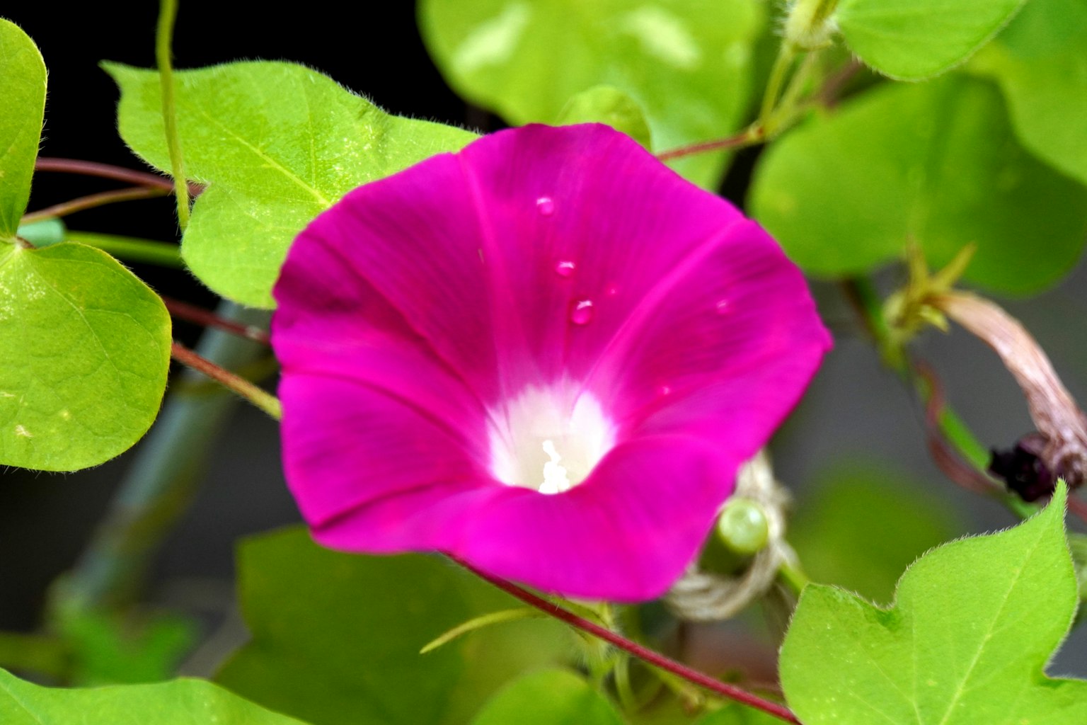 photo-LxA6gm7i5V9KcZ64CgUY-image