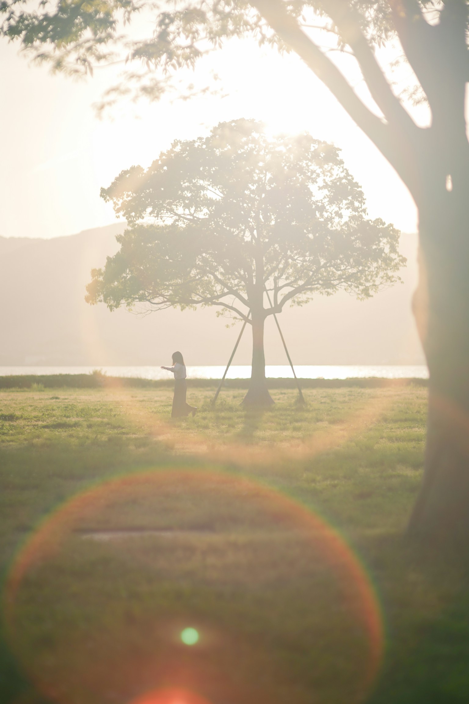 photo-LxEd4wy8Lxgt8rAcmRhR-image