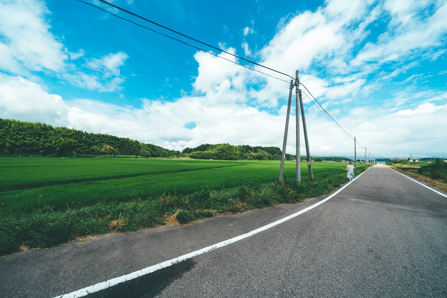 Road alongside lush green rice fields under a bright blue sky