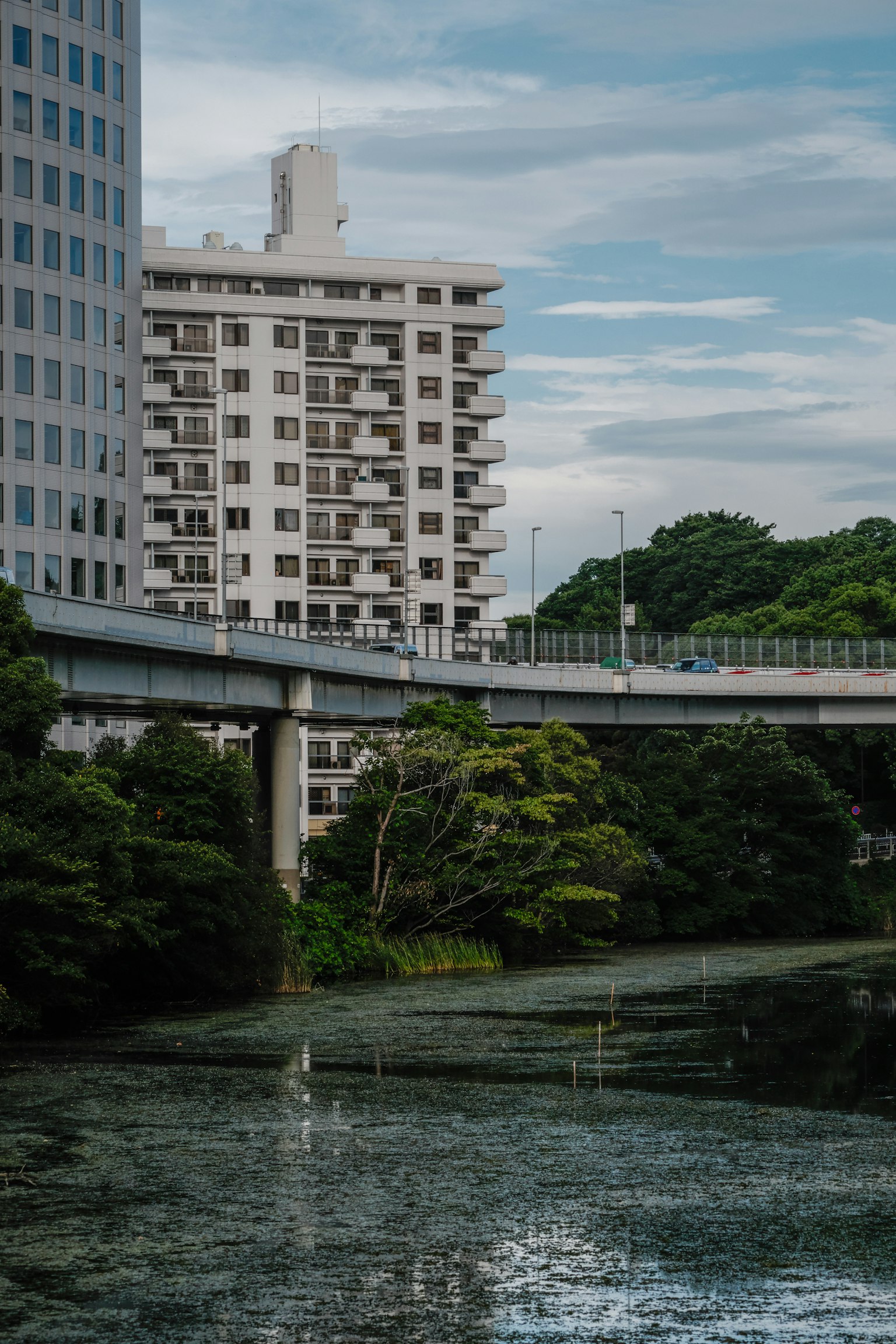 Pemandangan kota dengan jembatan di atas air dan gedung tinggi dikelilingi pepohonan hijau