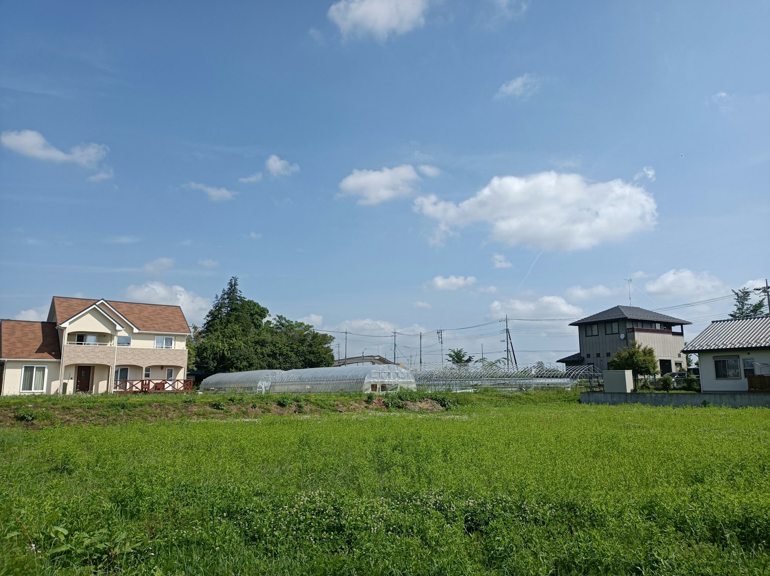 Landschaft mit grünen Feldern und Häusern unter blauem Himmel