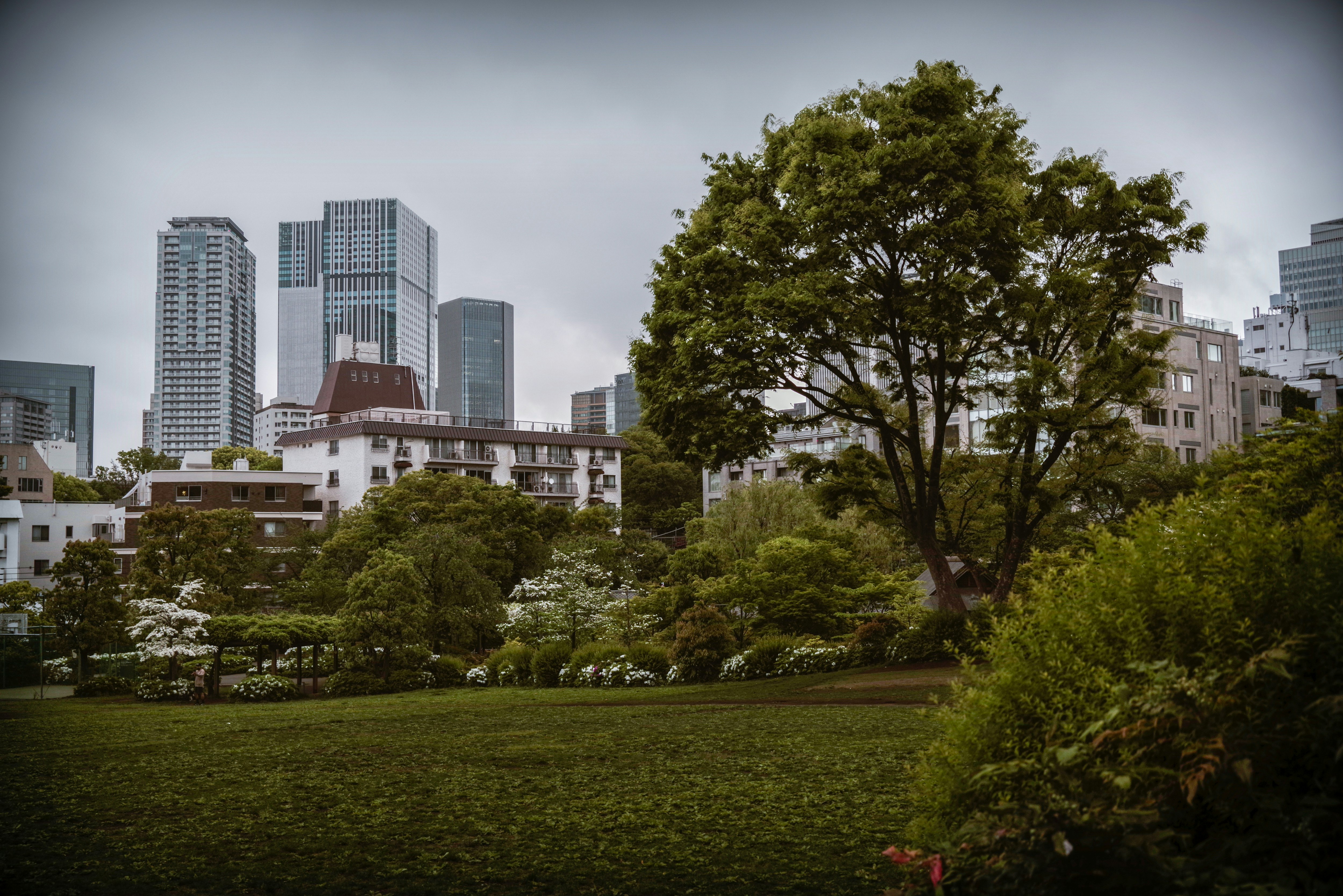 vista de la mañana de un césped de parque con un horizonte urbano