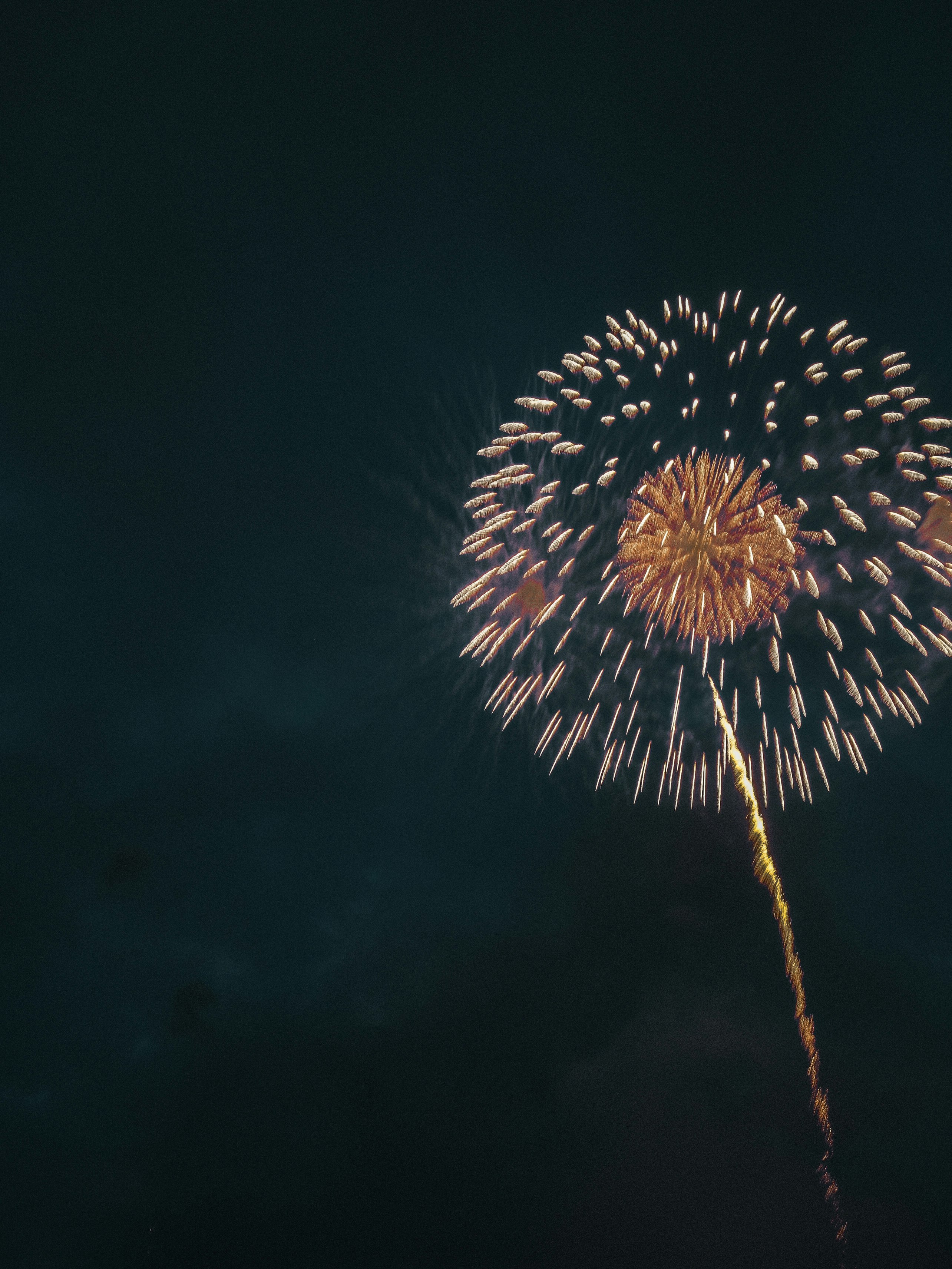 暗い空に打ち上がる花火