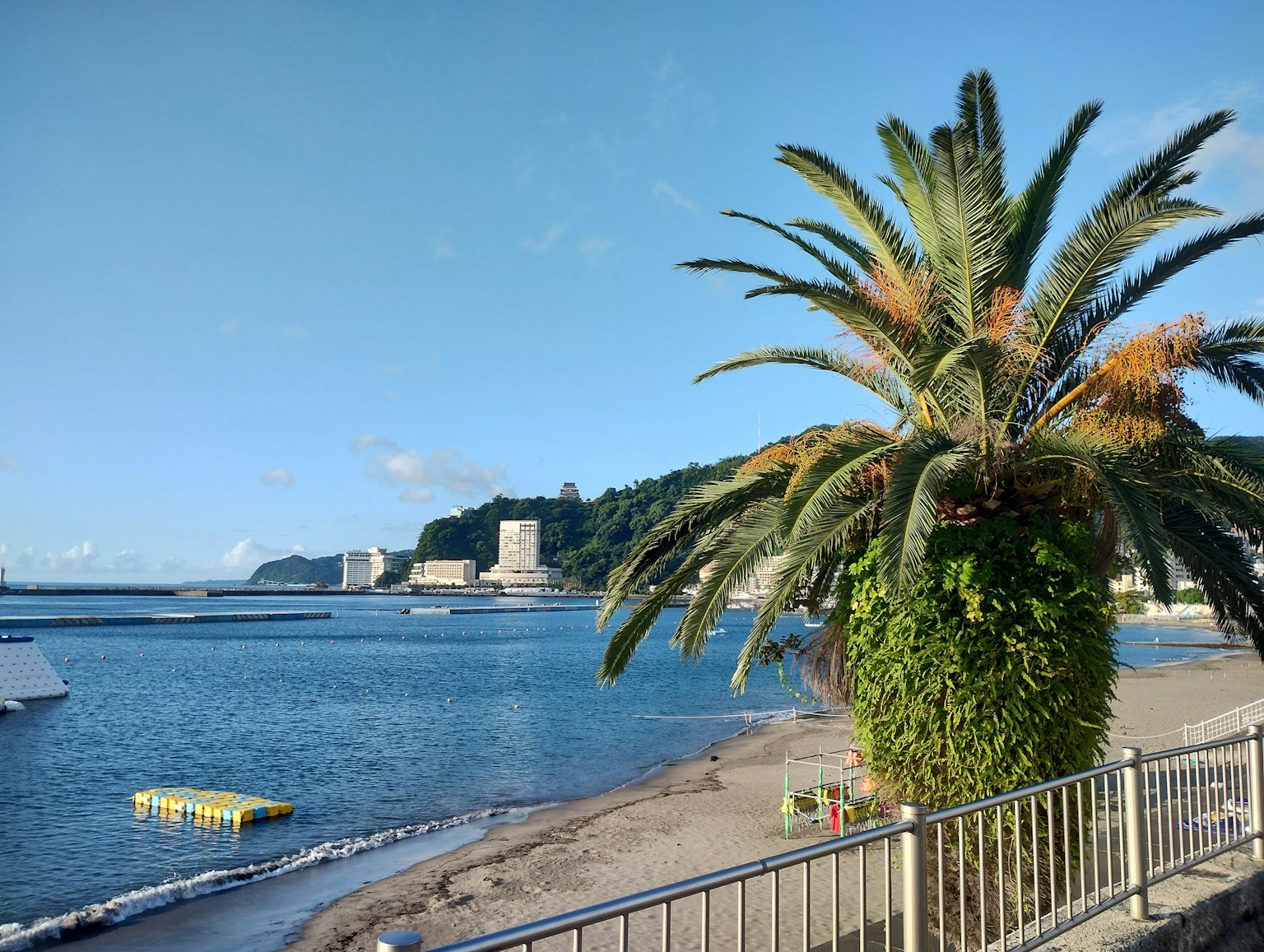 Große Palme in der Nähe eines Sandstrandes und blauen Meeres