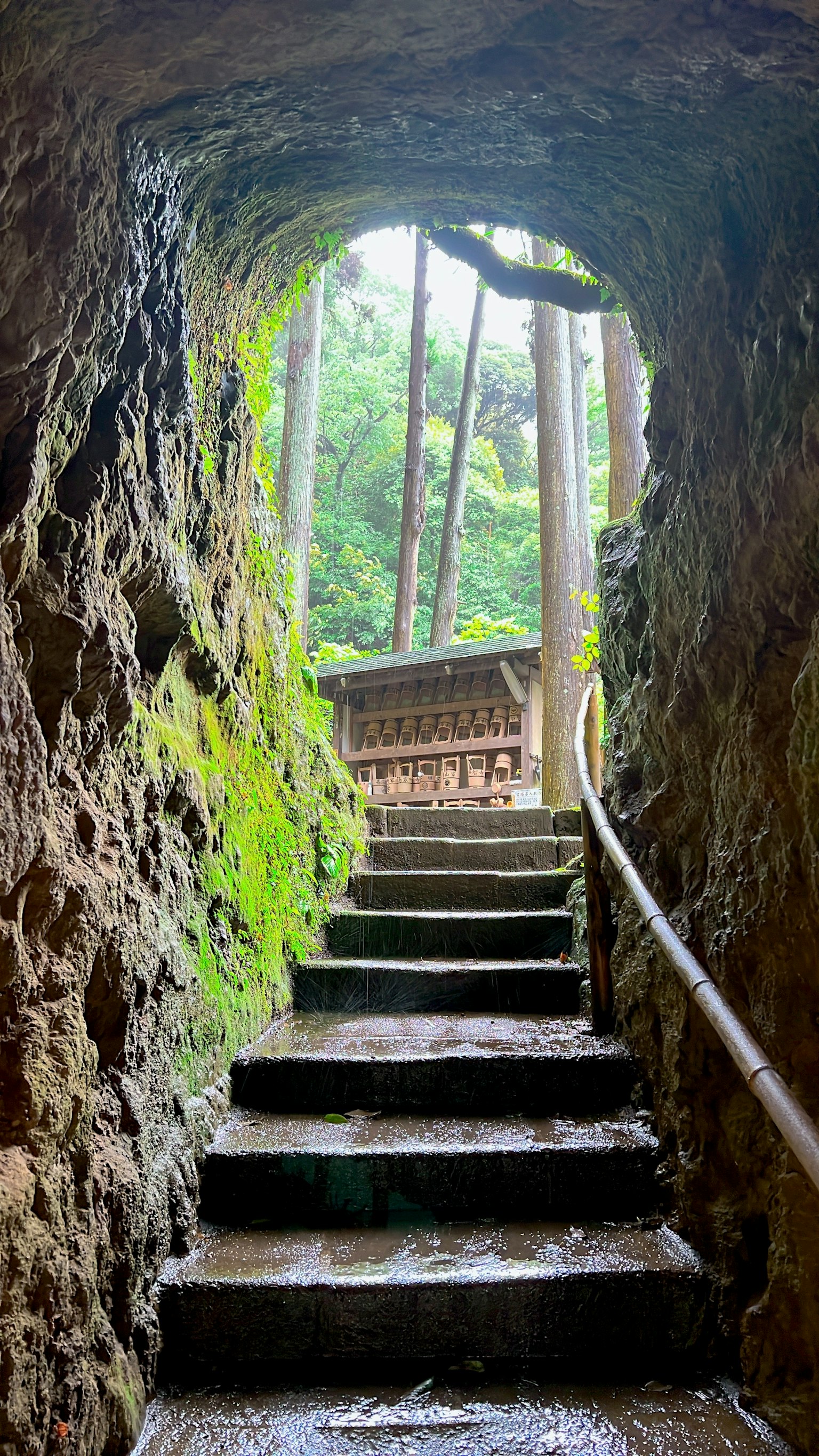 Vue depuis l'entrée d'une grotte montrant des marches en pierre menant à la verdure