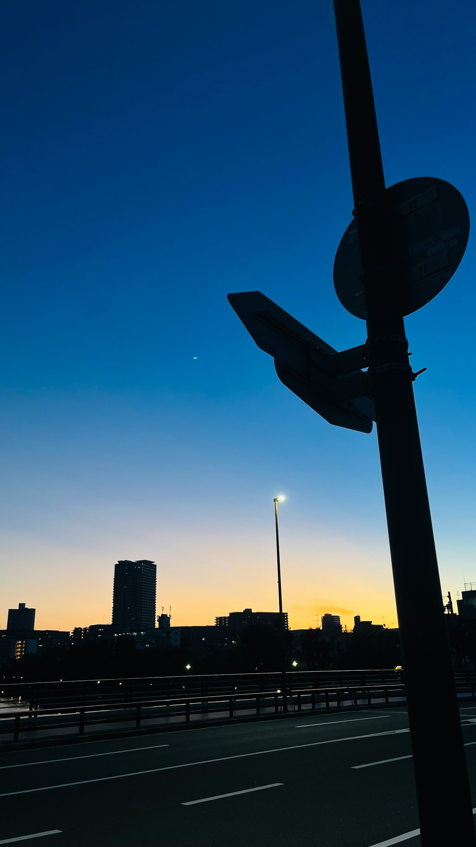 夕暮れ時の都市の風景 街灯とビルのシルエットが映える