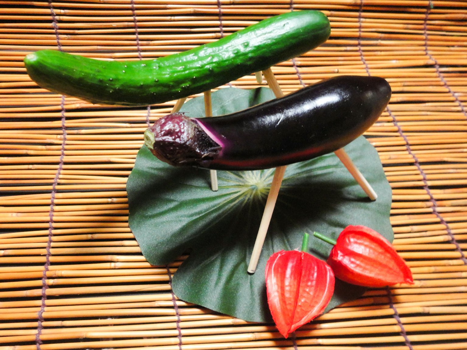 一根綠色黃瓜和一根紫色茄子用棍子展示，旁邊有紅色燈籠果