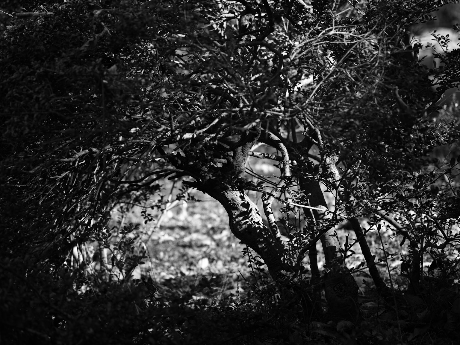 photo-M0PCJsh7dEbgUwYms3QL-image