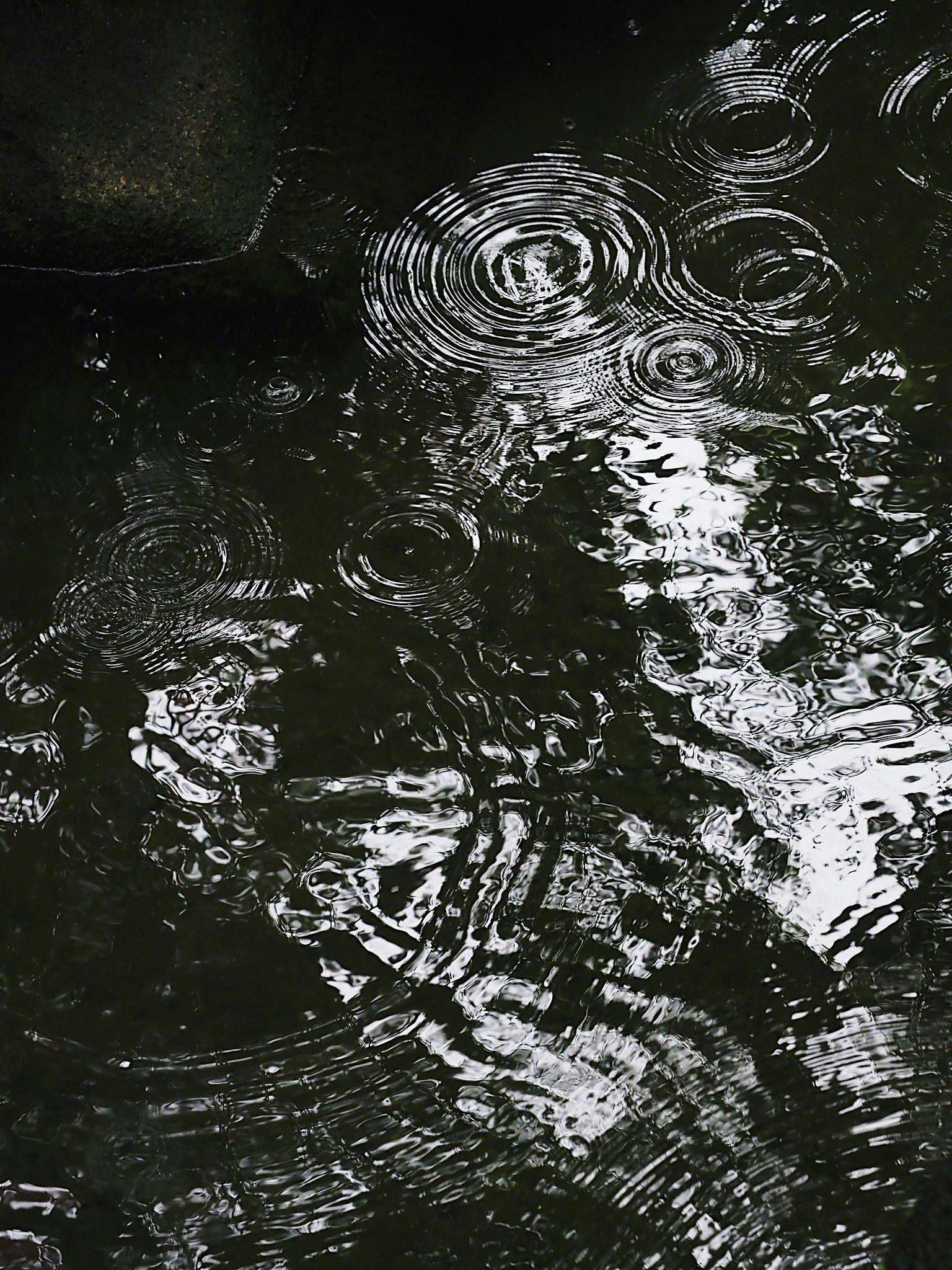 Ondas y reflejos de luz en la superficie del agua
