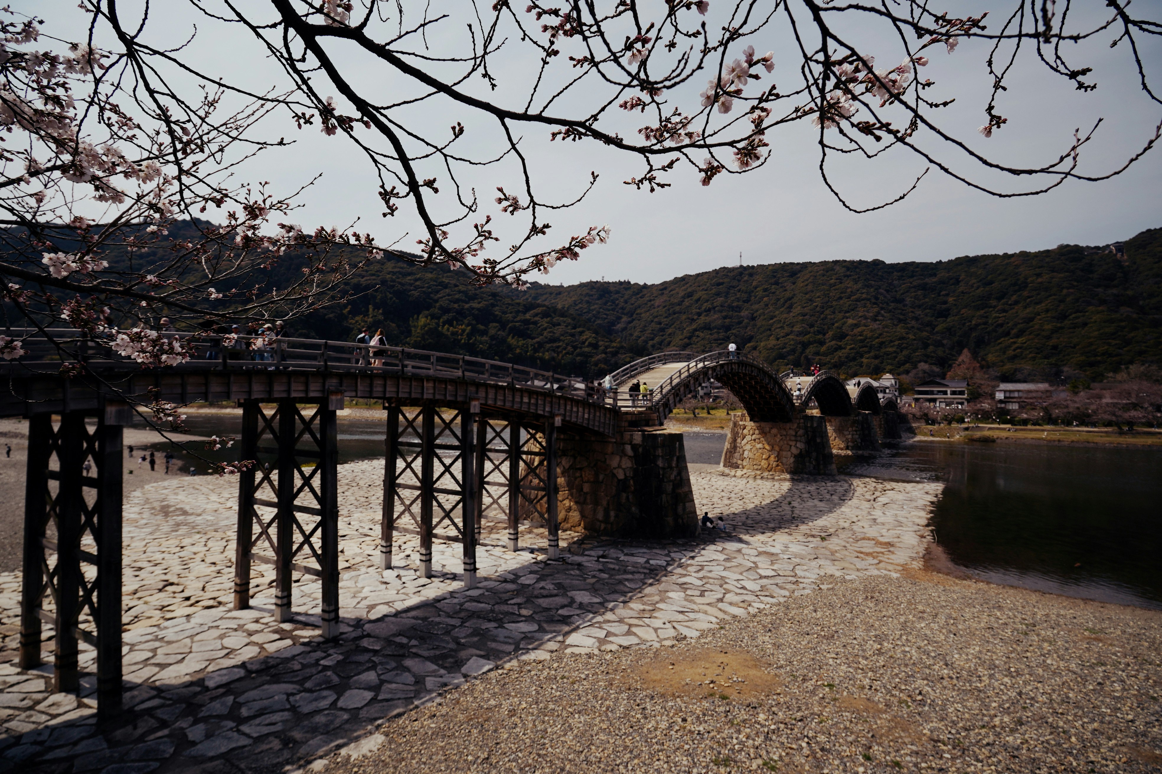 錦帯橋のアーチと川沿いの遊歩道