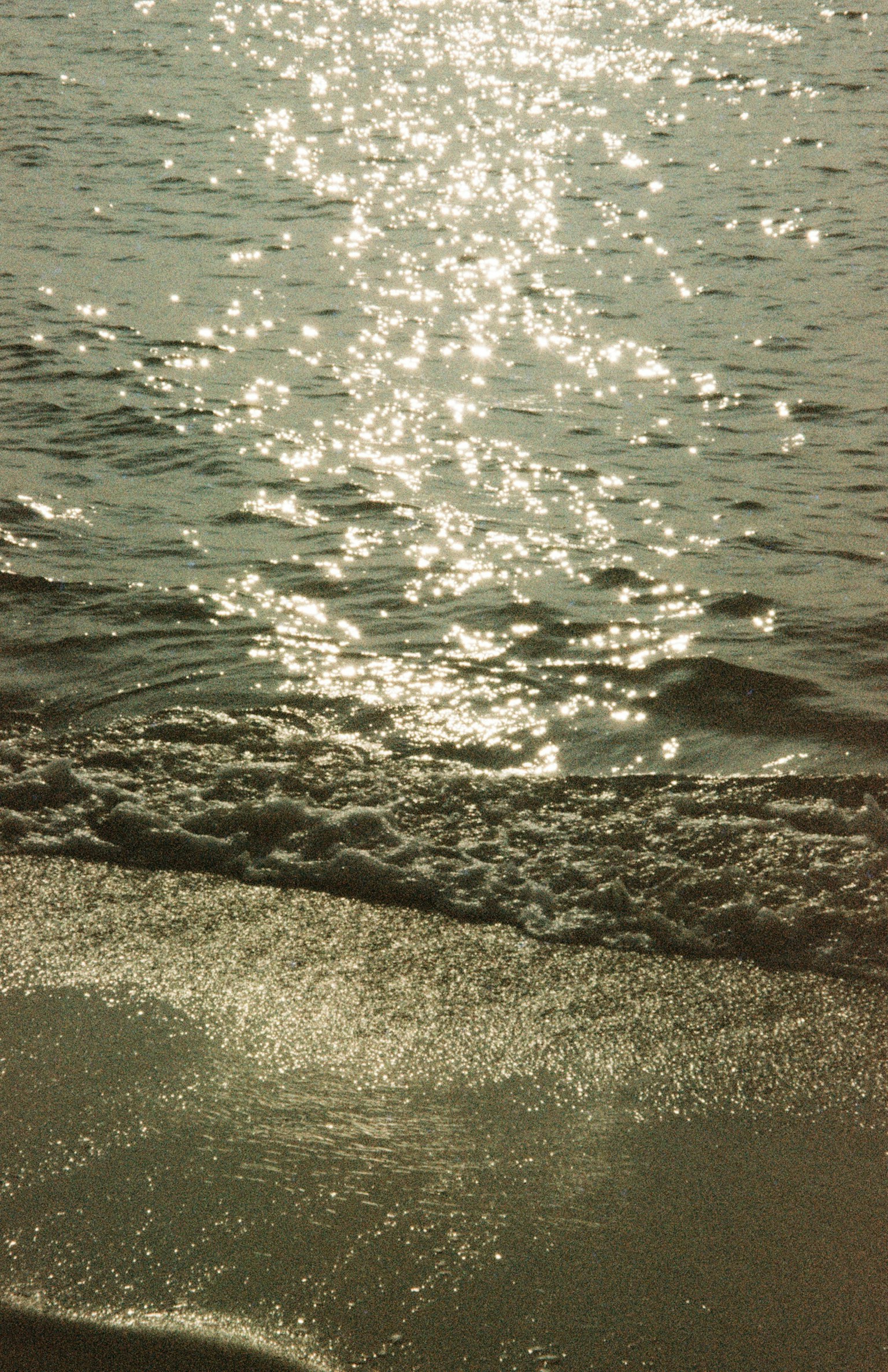 photo-M0qo9mHWws9GDmHmDjv8-image