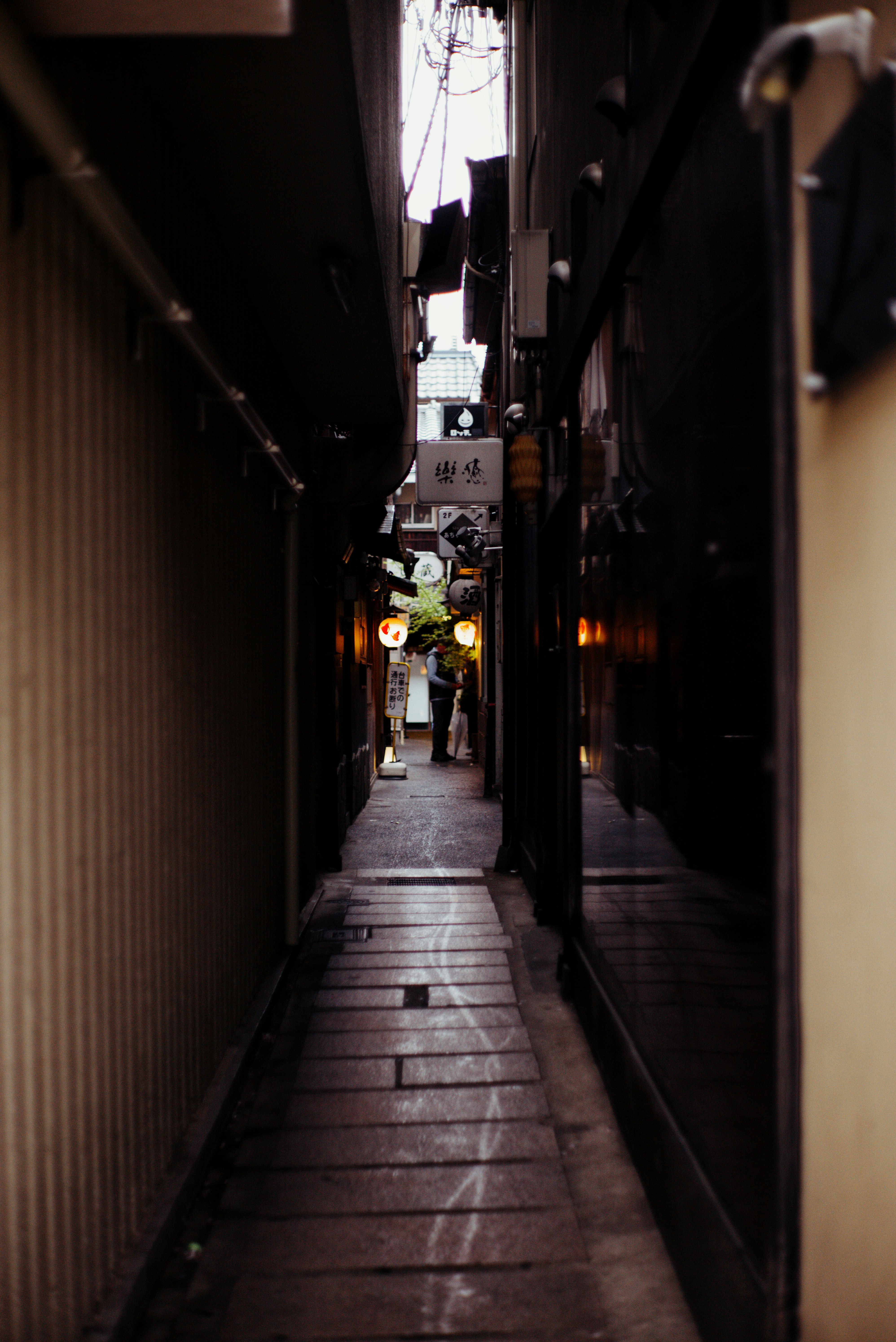 photo-M12tyOqb7qmFfkjfvGSZ-image