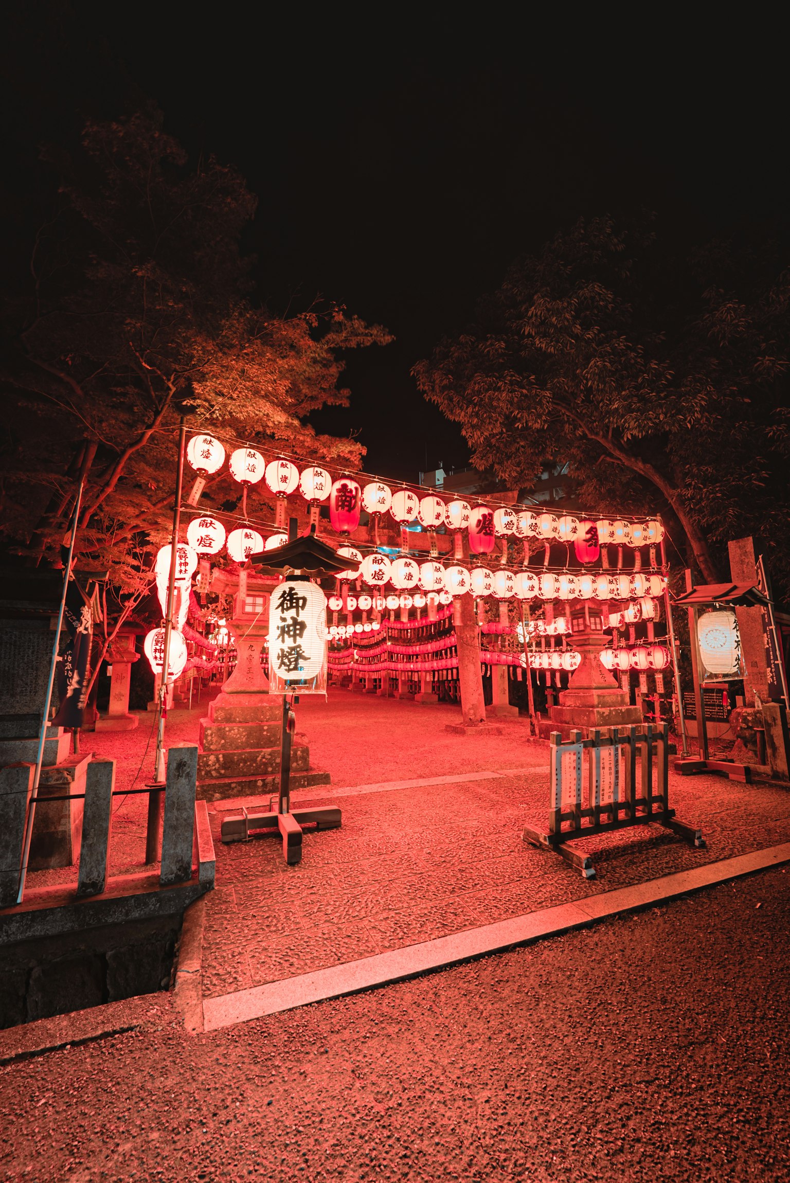 夜间的日本神社，红色灯笼照亮