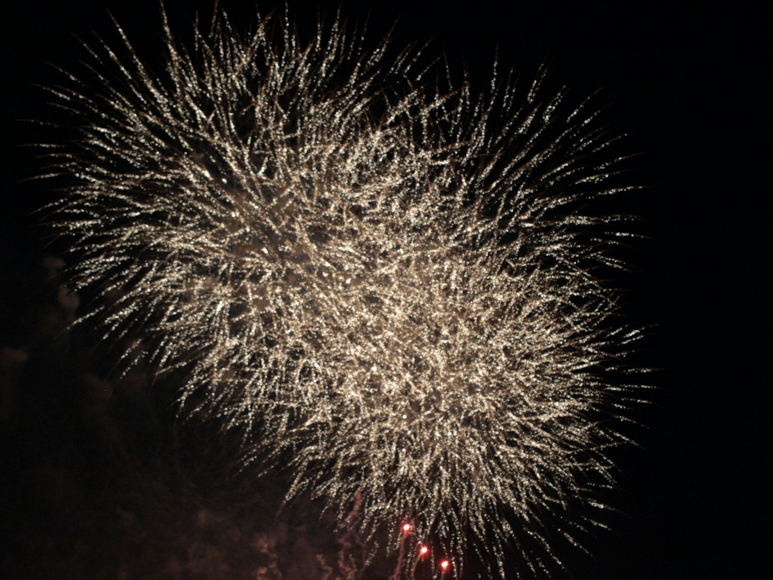 Un'impressionante esposizione di fuochi d'artificio che illumina il cielo notturno