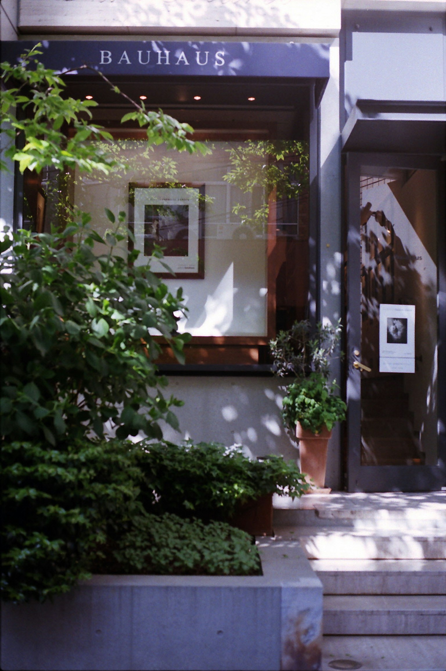 ภายนอกของร้านที่ชื่อว่า Bauhaus ล้อมรอบด้วยพืชพรรณที่เขียวชอุ่ม