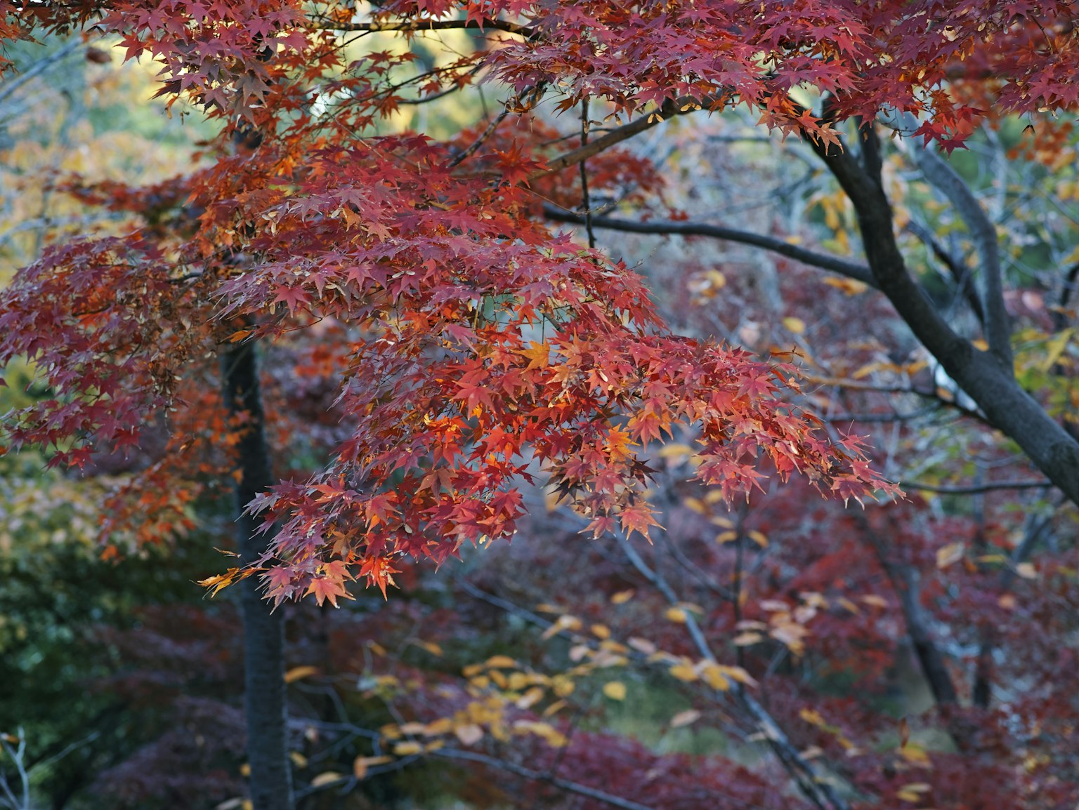 photo-M24Q2H9OU141u8NsKGHZ-image