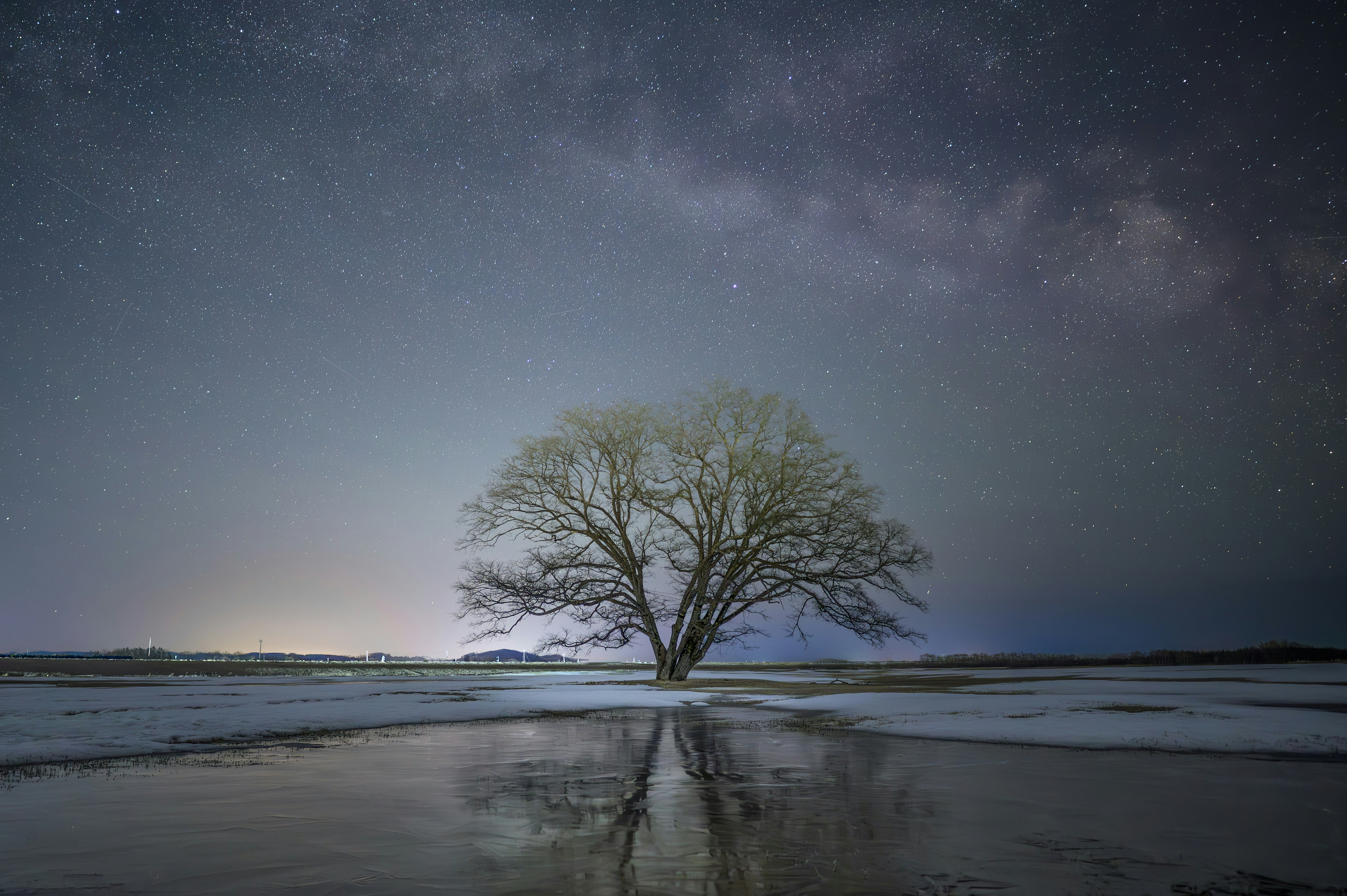 星空の下で水面に映る一本の木