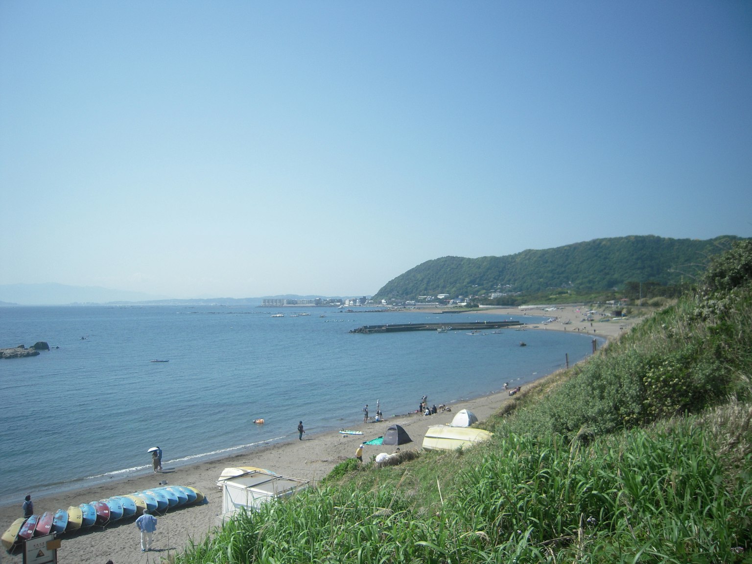 平静的海洋和绿色的草地 沿海岸线的沙滩和远处的山丘